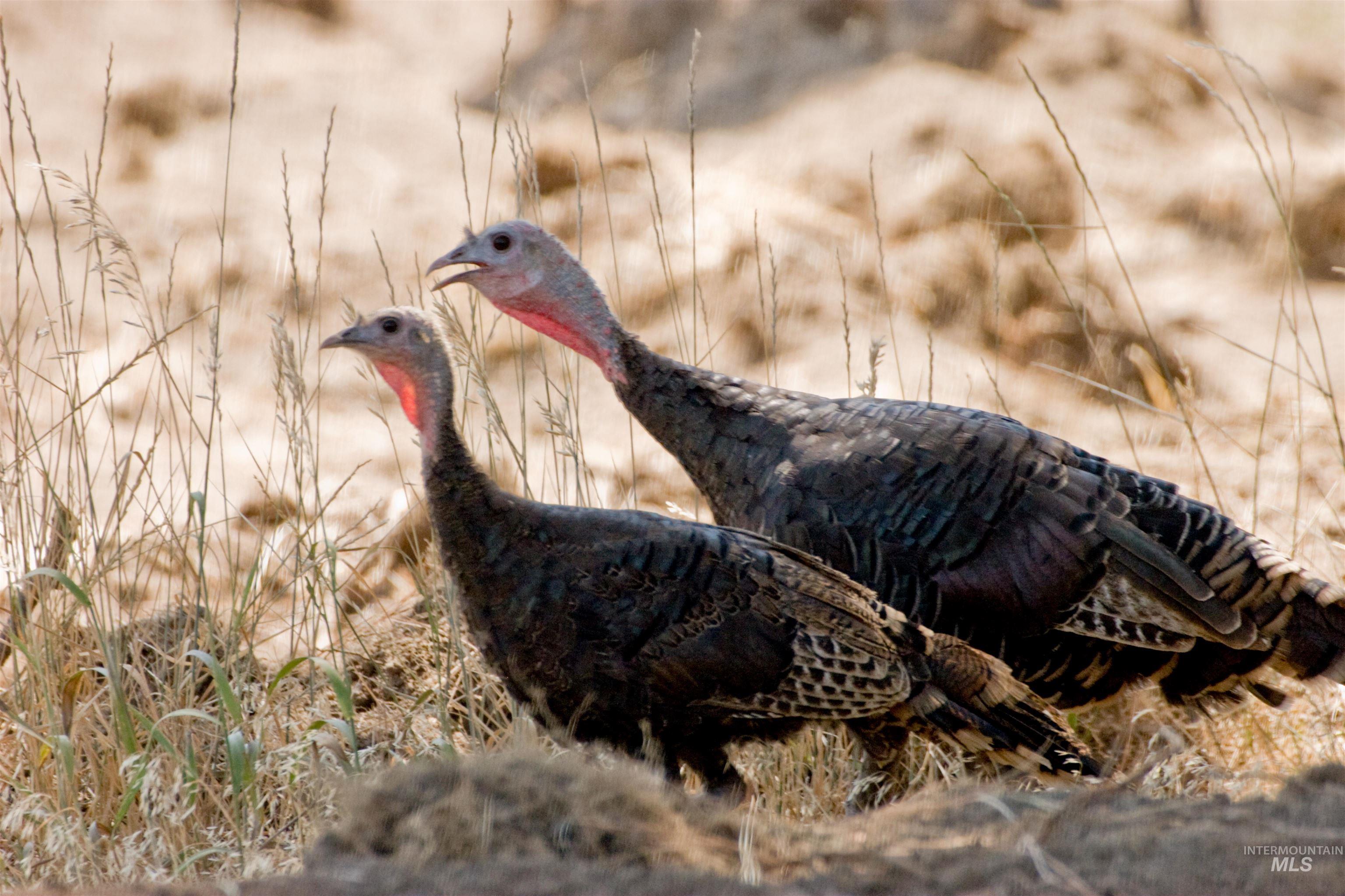 BLK 9 LOT 28 Whitewater Way, Garden Valley, Idaho 83622, Land For Sale, Price $105,000,MLS 98959987