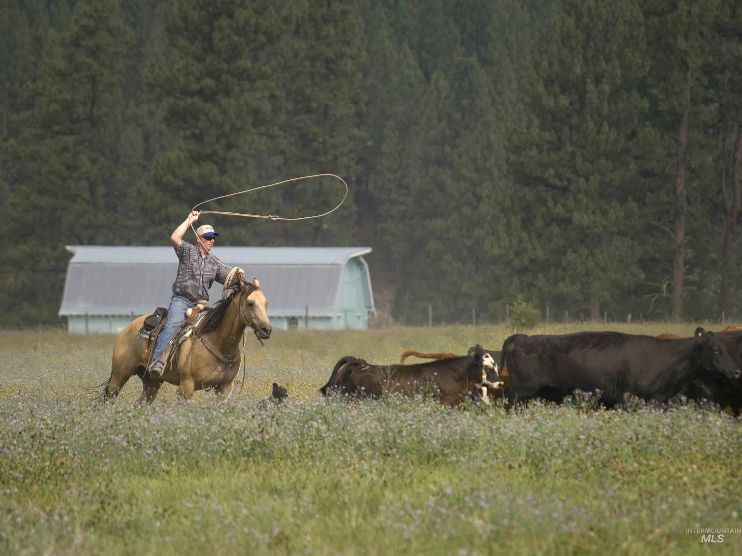 BLK 9 LOT 29 Whitewater Way, Garden Valley, Idaho 83622, Land For Sale, Price $105,000,MLS 98959988