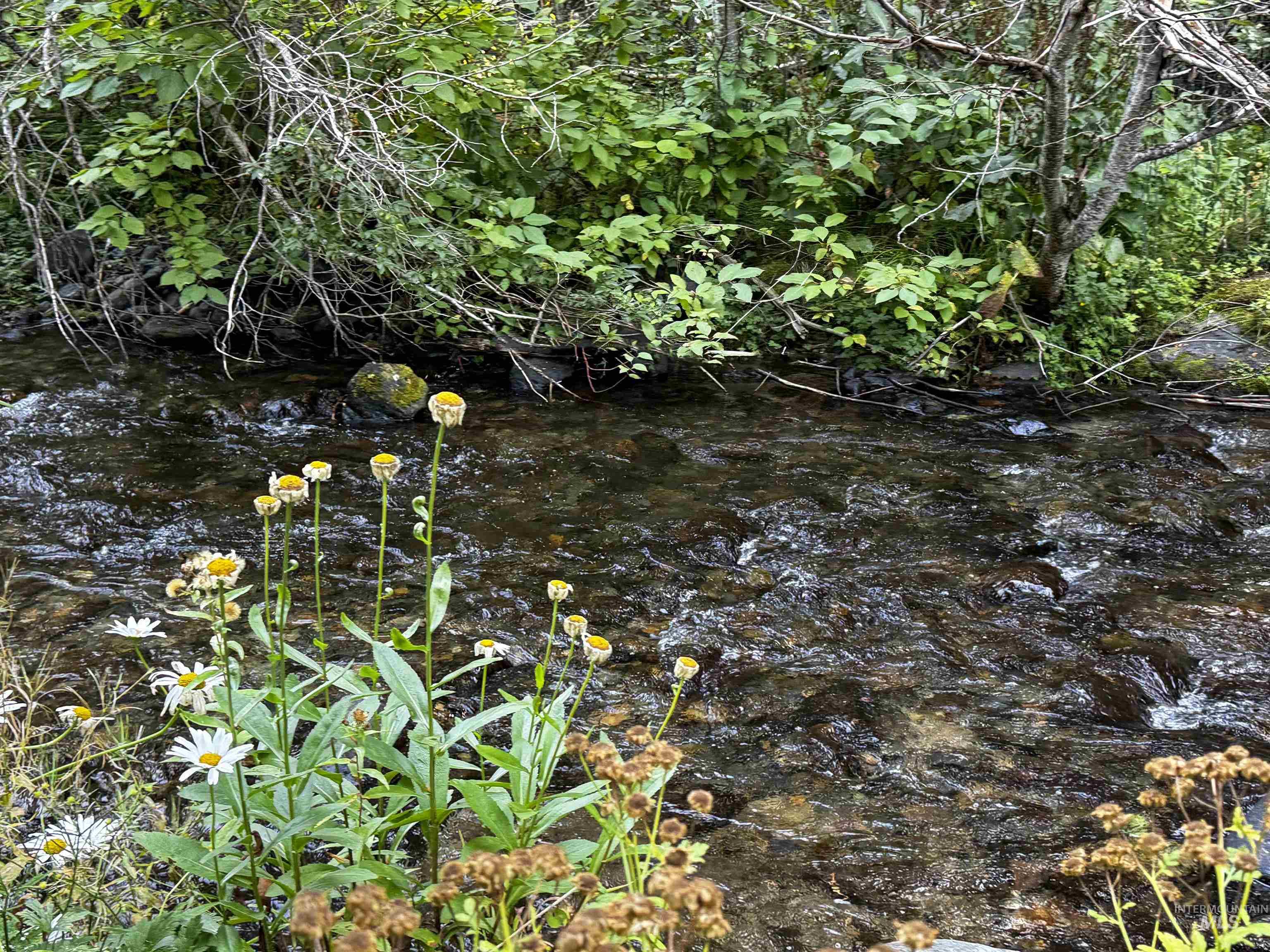 4482 Council Cuprum Rd, Council, Idaho 83612, 3 Bedrooms, 2 Bathrooms, Residential For Sale, Price $325,000, 98960056