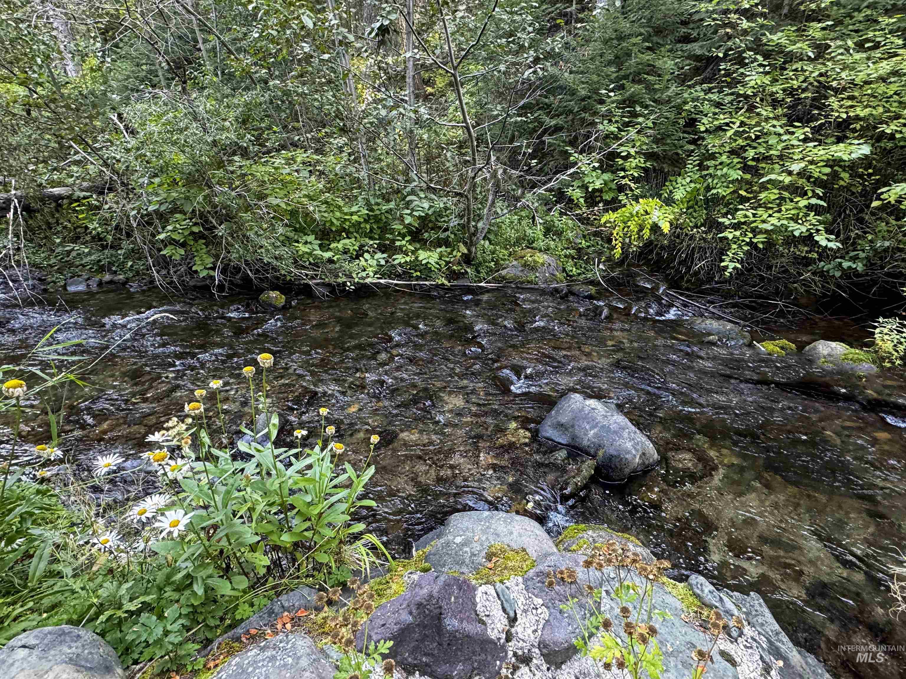 4482 Council Cuprum Rd, Council, Idaho 83612, 3 Bedrooms, 2 Bathrooms, Residential For Sale, Price $325,000, 98960056