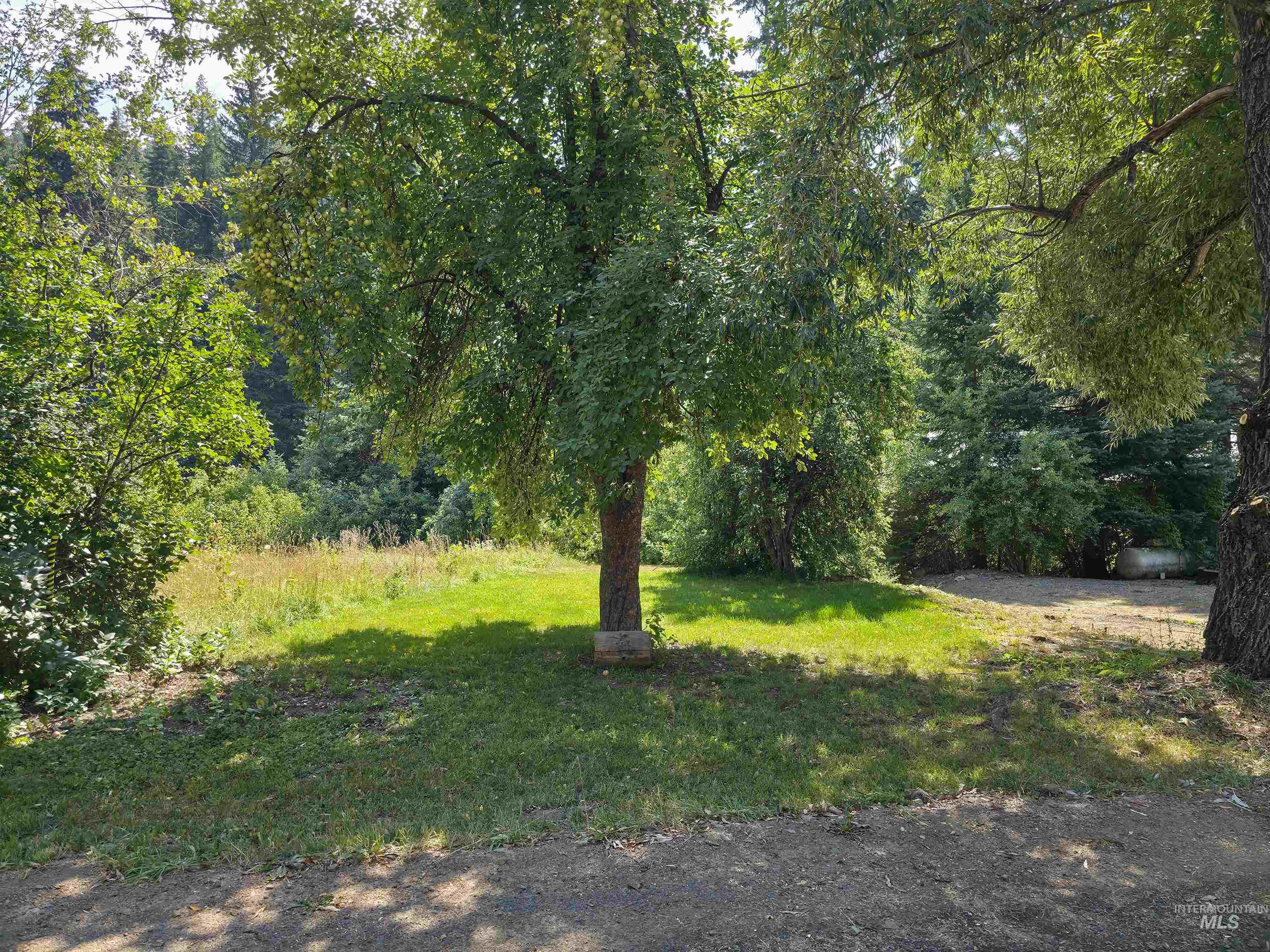 4482 Council Cuprum Rd, Council, Idaho 83612, 3 Bedrooms, 2 Bathrooms, Residential For Sale, Price $325,000, 98960056