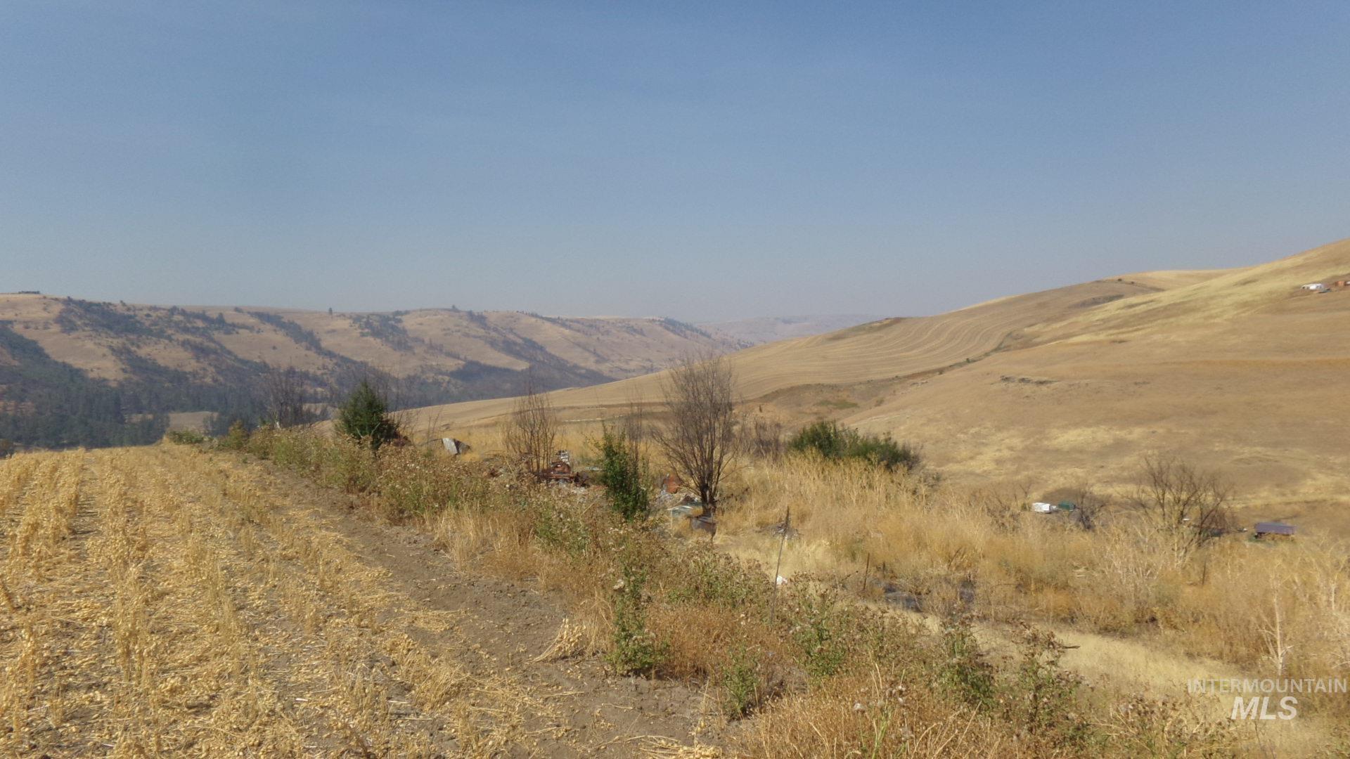 29634 Wild Plum Ln, Culdesac, Idaho 83524, Land For Sale, Price $99,000, 98960060