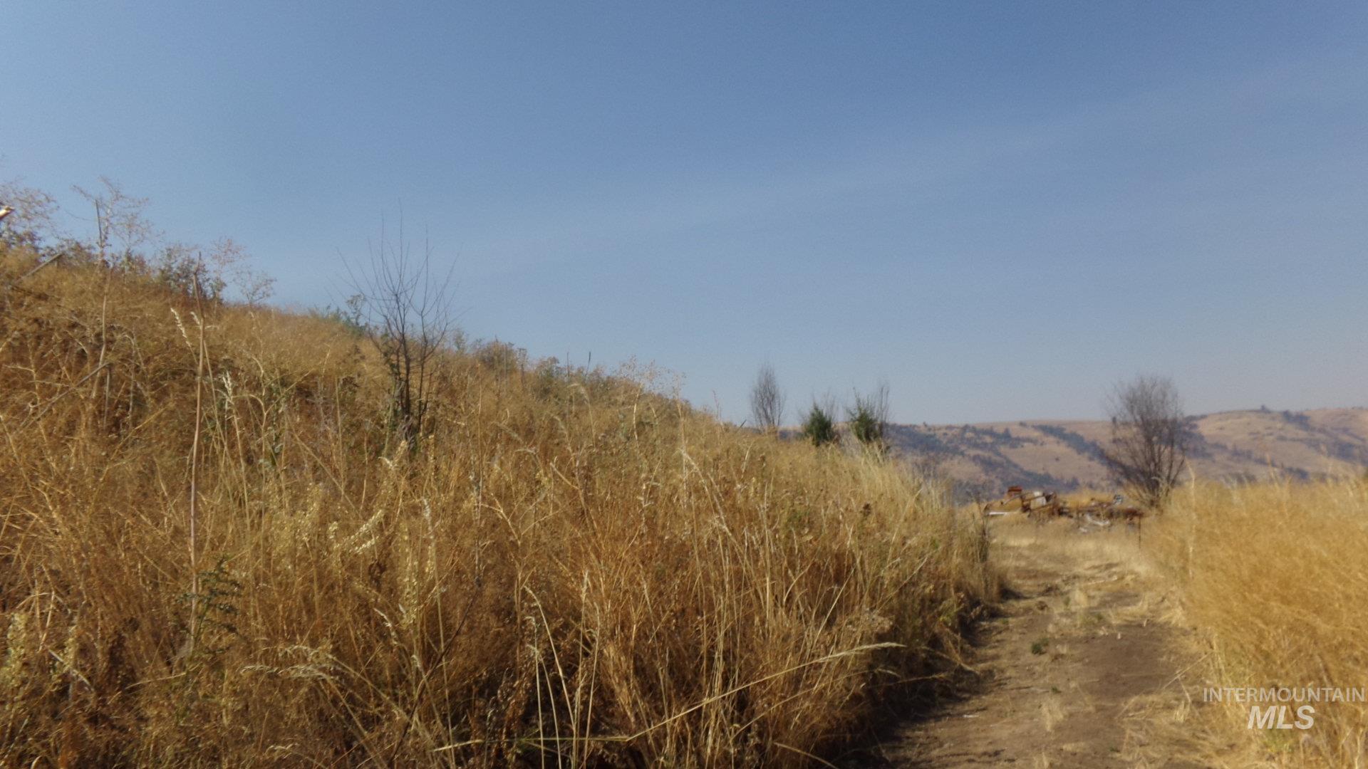 29634 Wild Plum Ln, Culdesac, Idaho 83524, Land For Sale, Price $99,000, 98960060