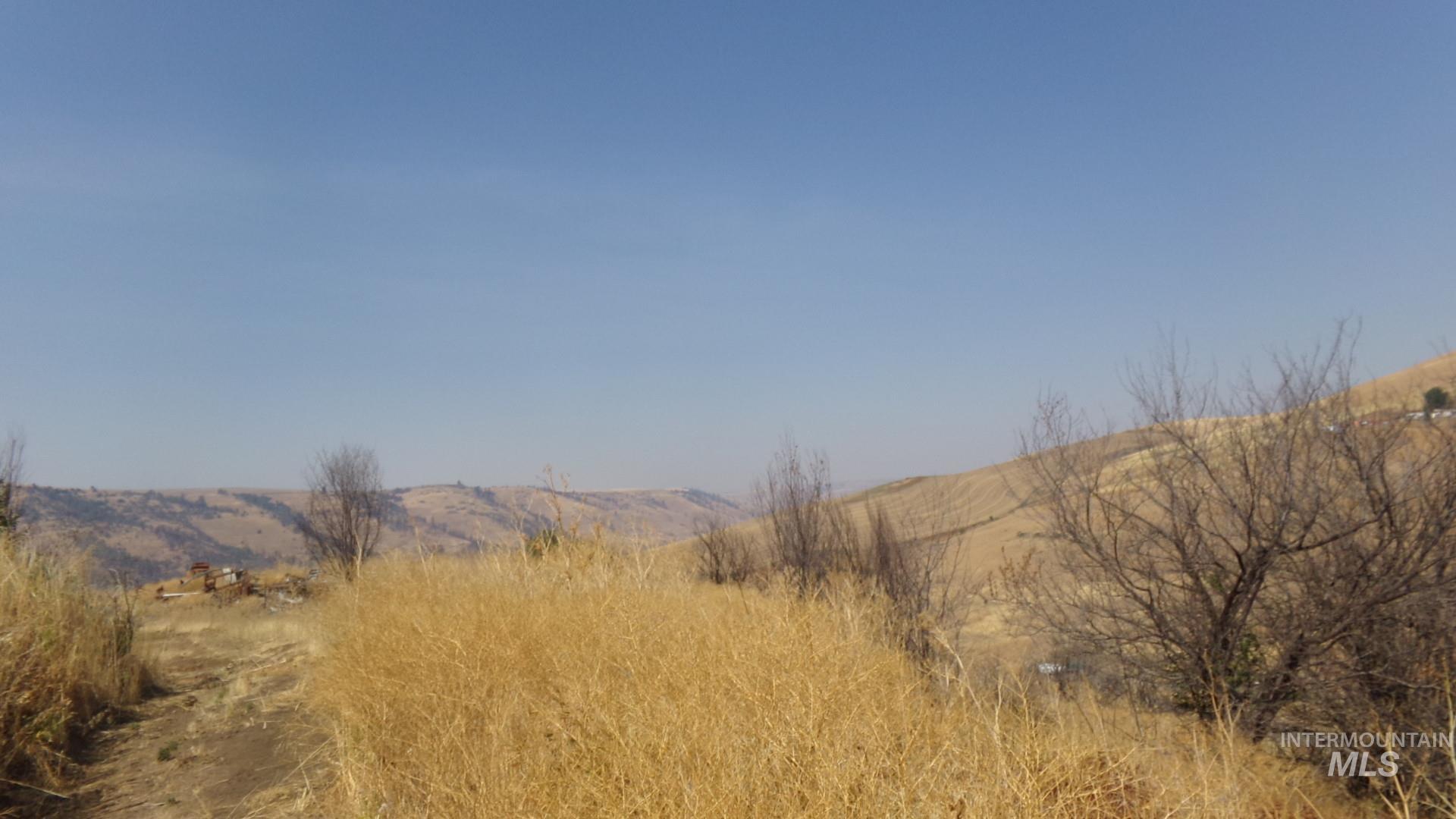 29634 Wild Plum Ln, Culdesac, Idaho 83524, Land For Sale, Price $99,000, 98960060