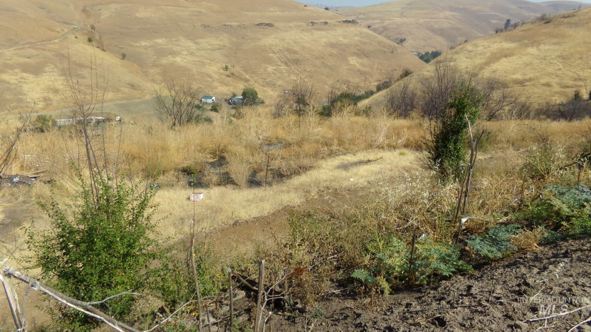 29634 Wild Plum Ln, Culdesac, Idaho 83524, Land For Sale, Price $99,000, 98960060