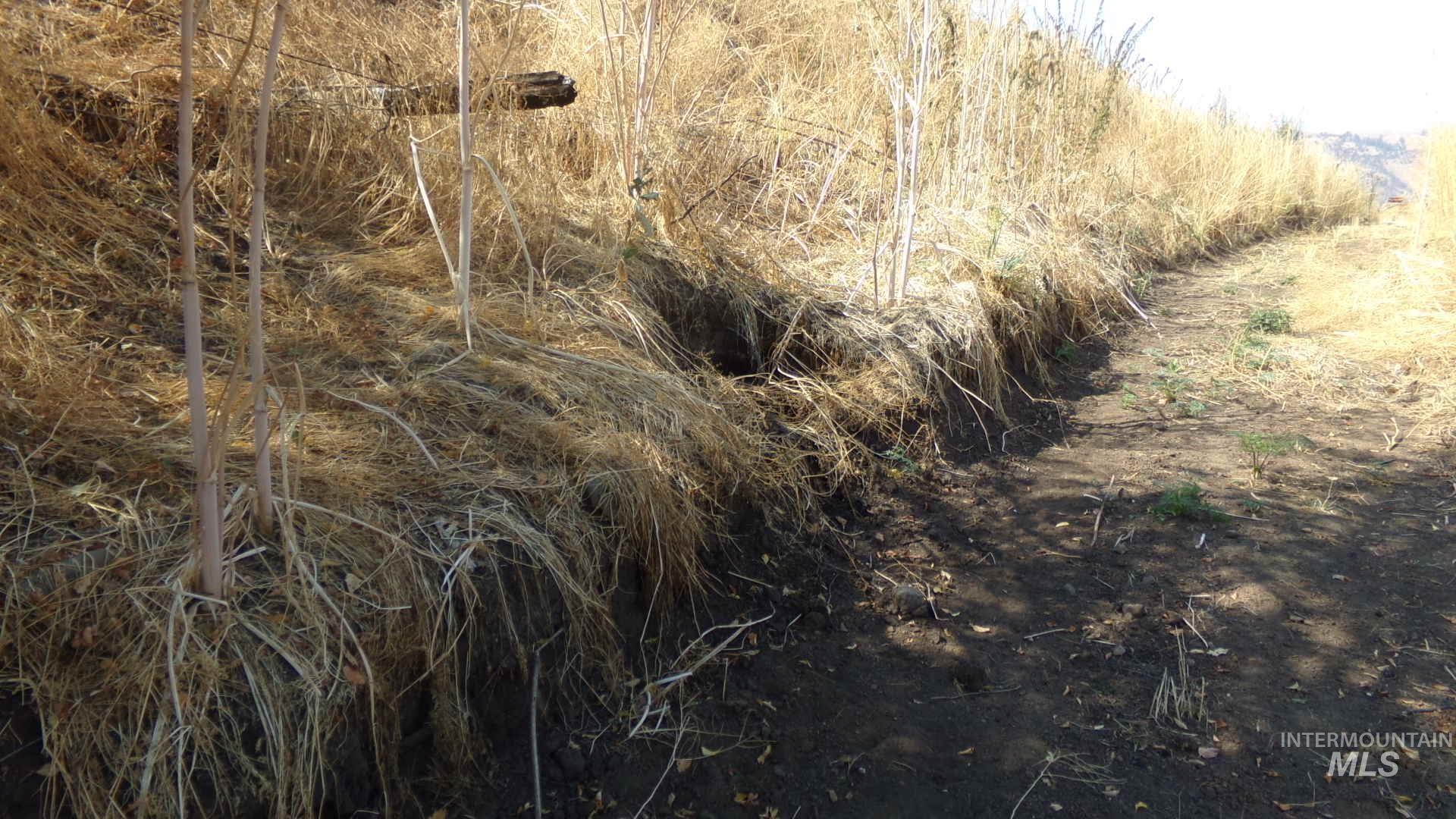 29634 Wild Plum Ln, Culdesac, Idaho 83524, Land For Sale, Price $99,000, 98960060