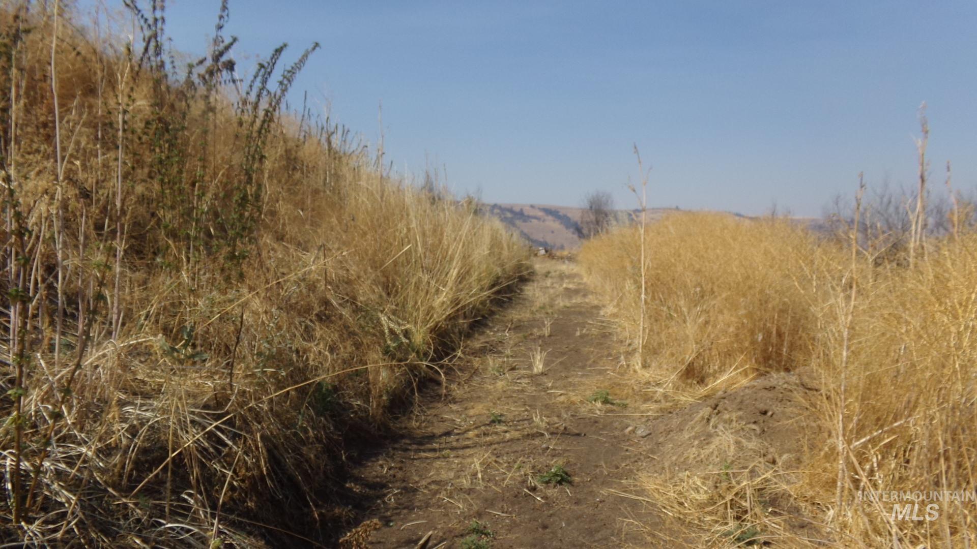 29634 Wild Plum Ln, Culdesac, Idaho 83524, Land For Sale, Price $99,000, 98960060