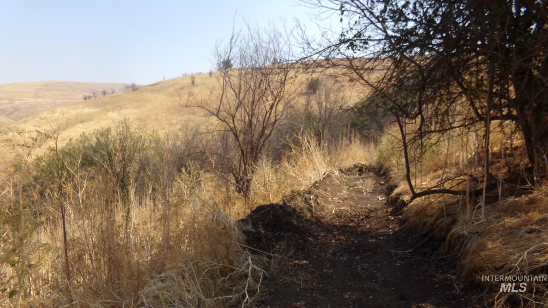 29634 Wild Plum Ln, Culdesac, Idaho 83524, Land For Sale, Price $99,000, 98960060