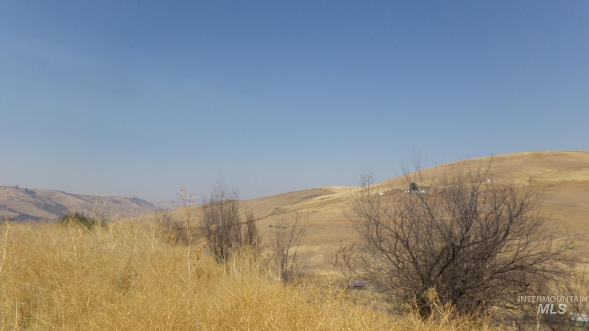 29634 Wild Plum Ln, Culdesac, Idaho 83524, Land For Sale, Price $99,000, 98960060