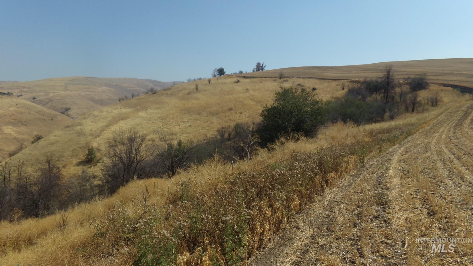 29634 Wild Plum Ln, Culdesac, Idaho 83524, Land For Sale, Price $99,000, 98960060