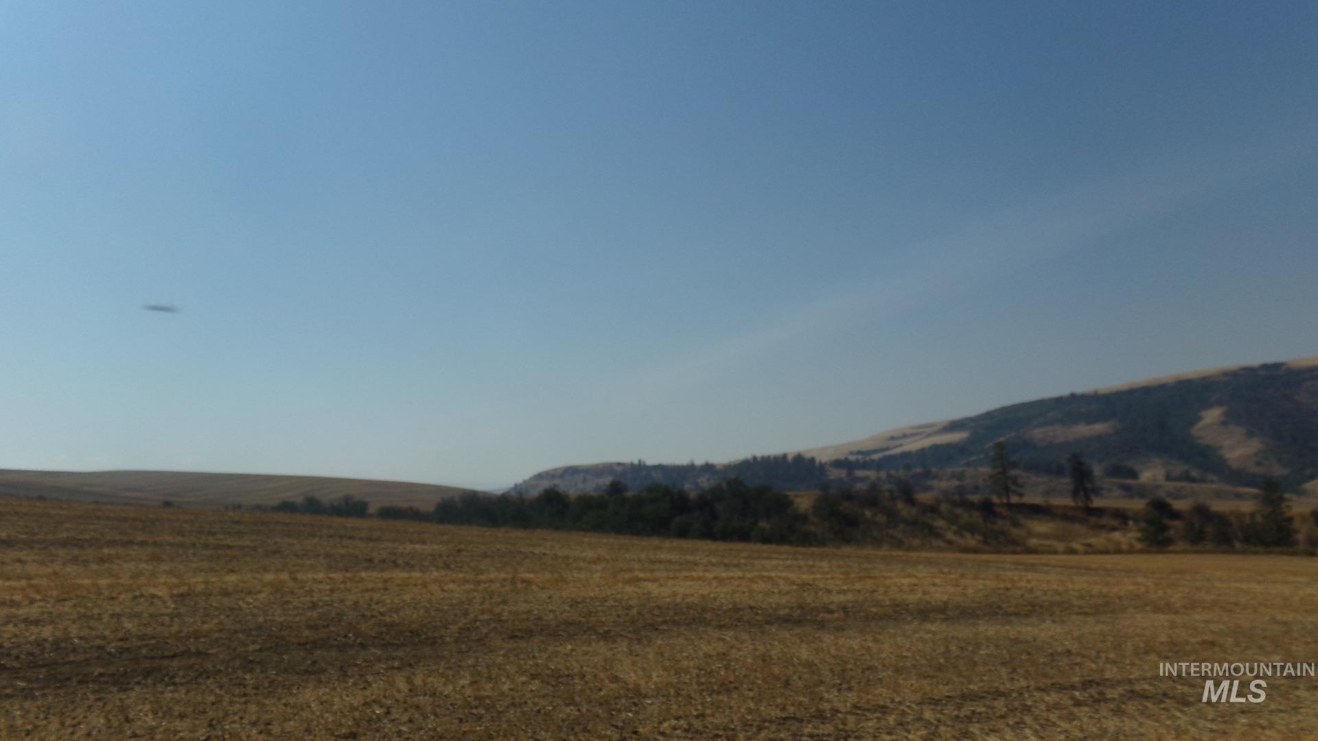 29634 Wild Plum Ln, Culdesac, Idaho 83524, Land For Sale, Price $99,000, 98960060