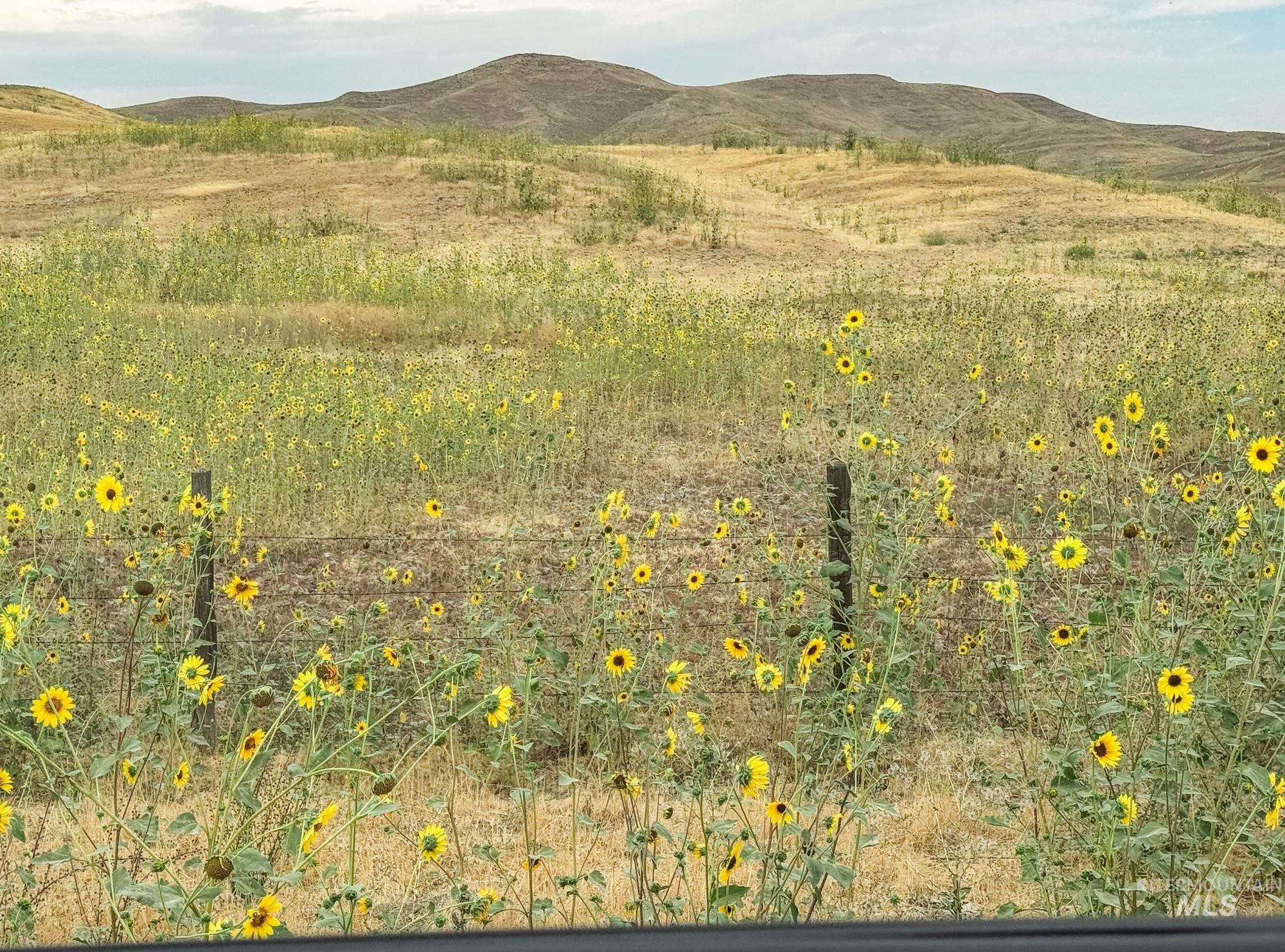 0 Stone Quarry Rd, Payette, Idaho 83661, Land For Sale, Price $1,MLS 98960189