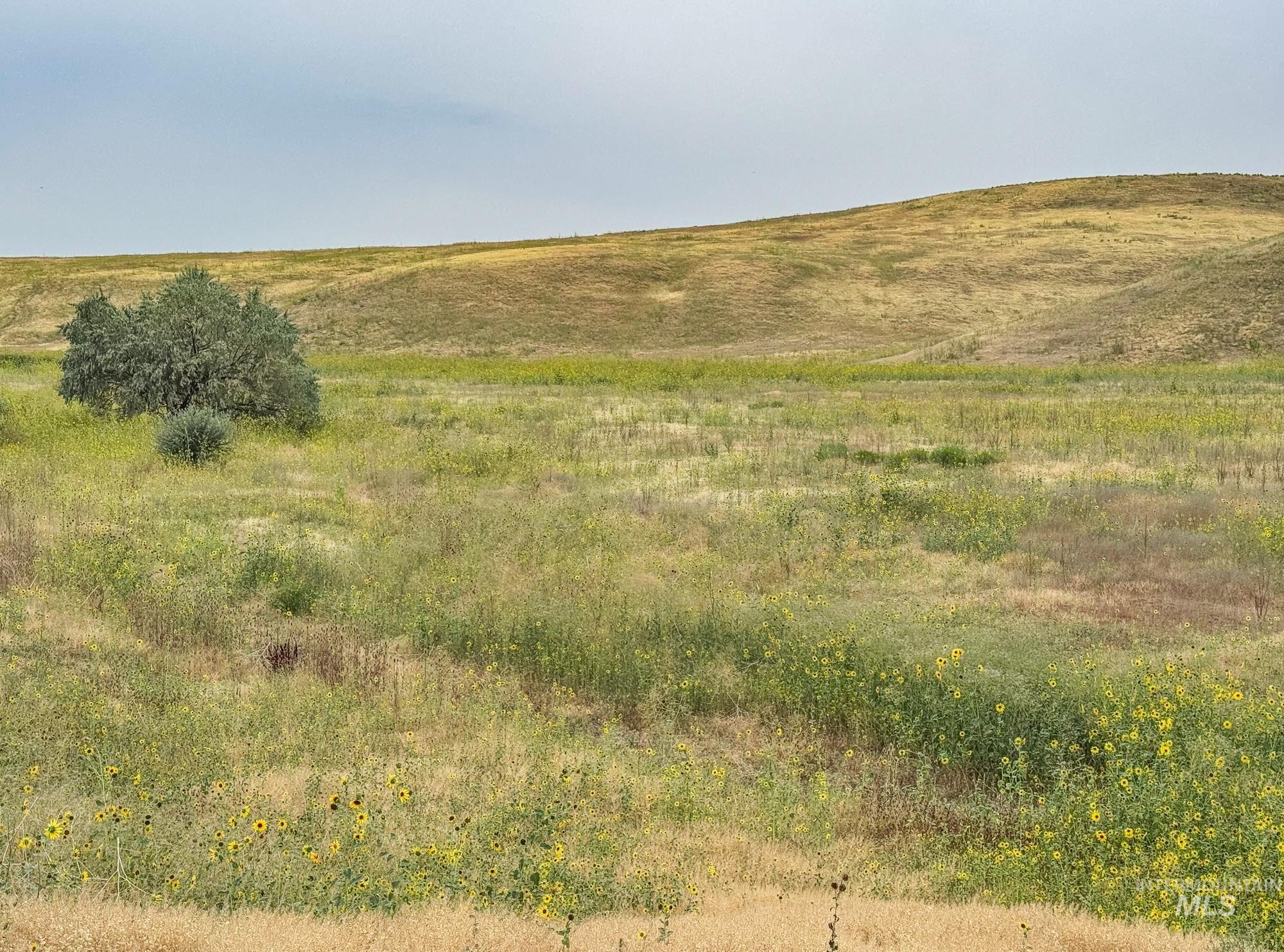 0 Stone Quarry Rd, Payette, Idaho 83661, Land For Sale, Price $1,MLS 98960189