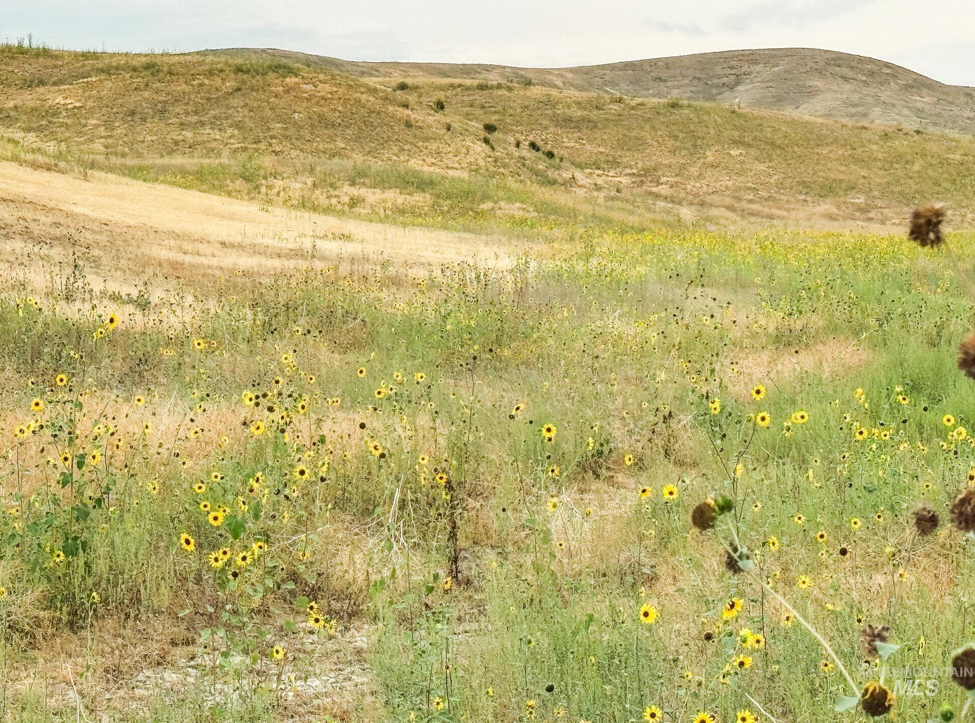 0 Stone Quarry Rd, Payette, Idaho 83661, Land For Sale, Price $1,MLS 98960189