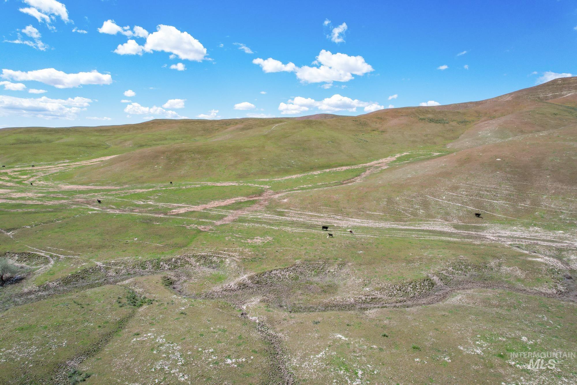0 Stone Quarry Rd, Payette, Idaho 83661, Land For Sale, Price $1,MLS 98960189