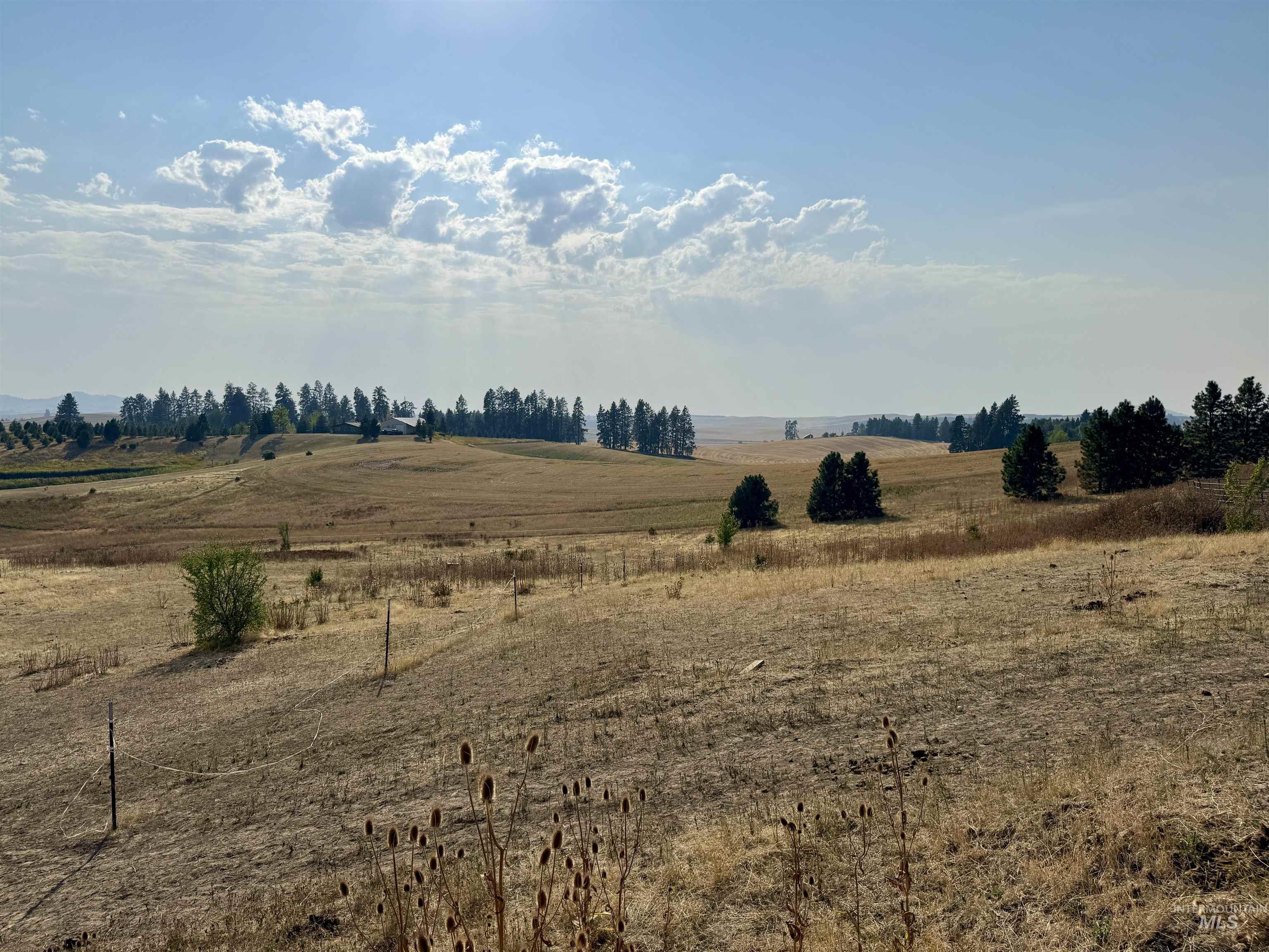 TBD E Freeze Road, Potlatch, Idaho 83855, Land For Sale, Price $450,000, 98960233