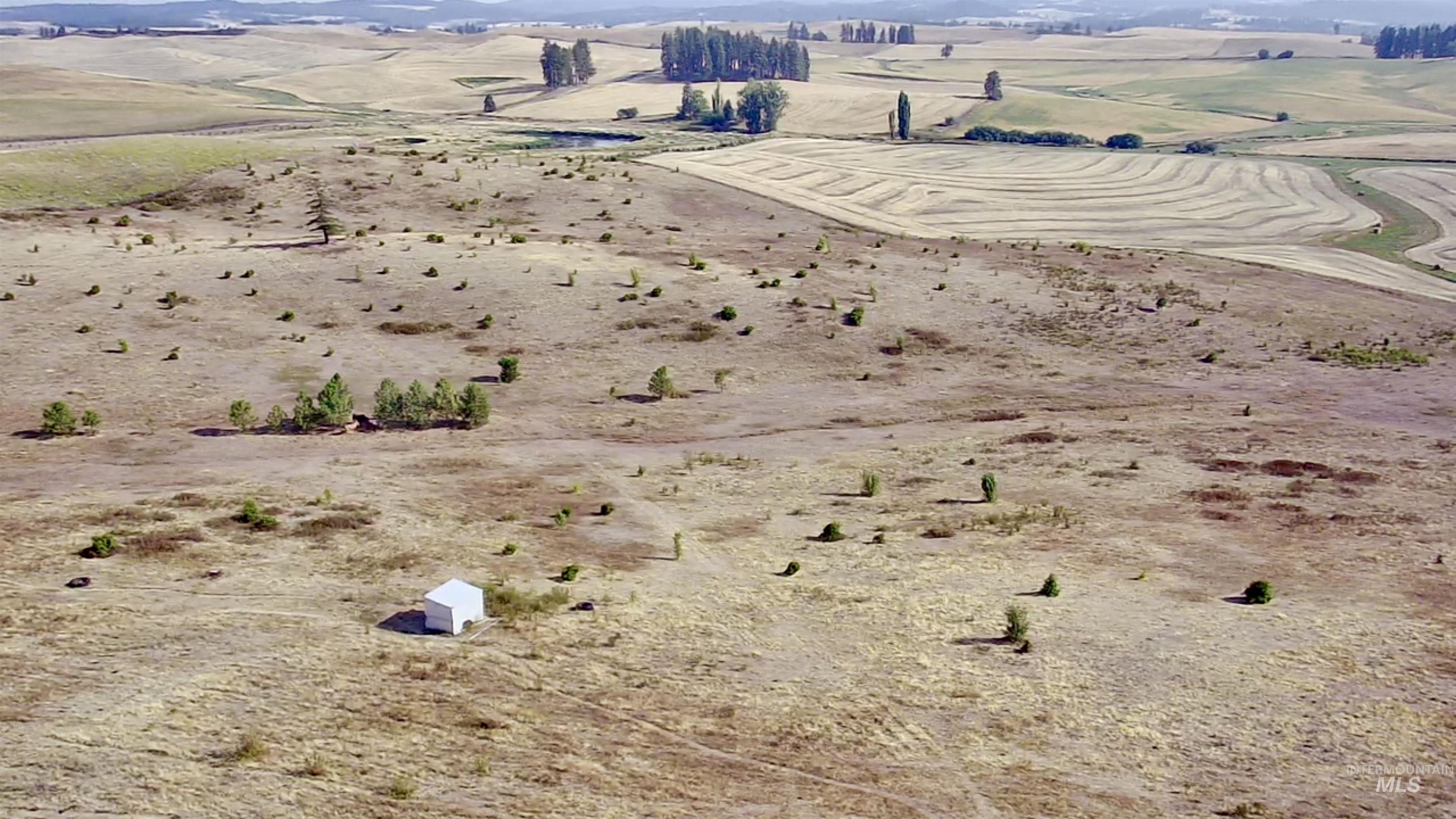 TBD E Freeze Road, Potlatch, Idaho 83855, Land For Sale, Price $450,000, 98960233