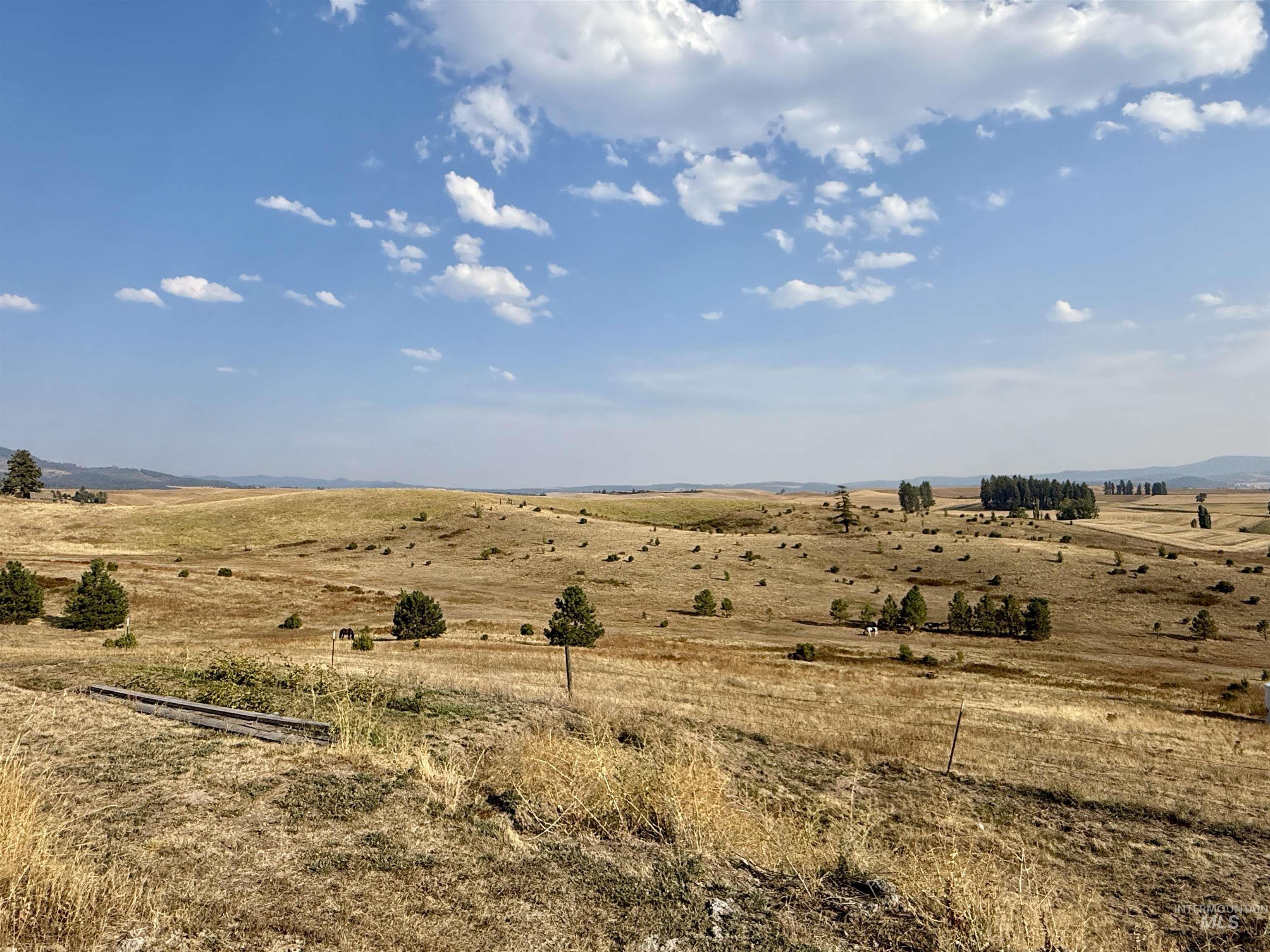 TBD E Freeze Road, Potlatch, Idaho 83855, Land For Sale, Price $450,000, 98960233