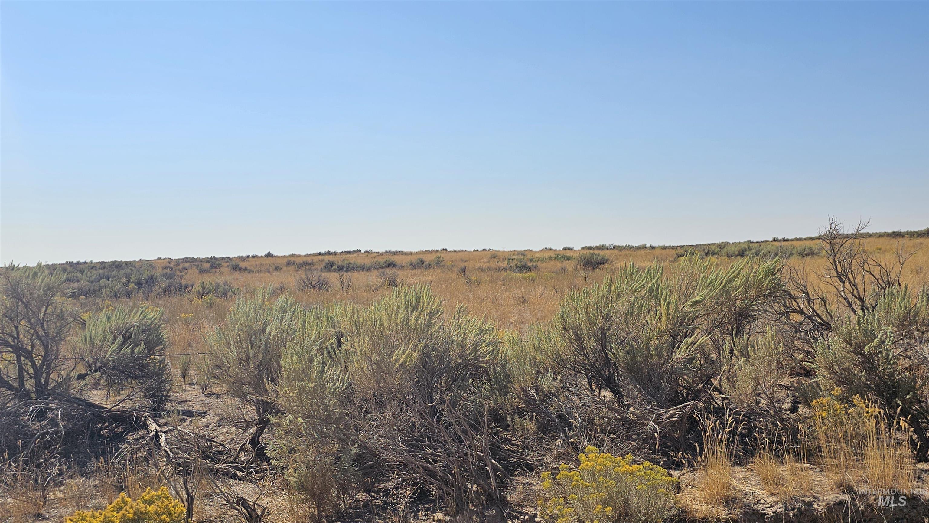Approx. 1650 S 3100 W, Aberdeen, Idaho 83210, Farm & Ranch For Sale, Price $224,000, 98960346