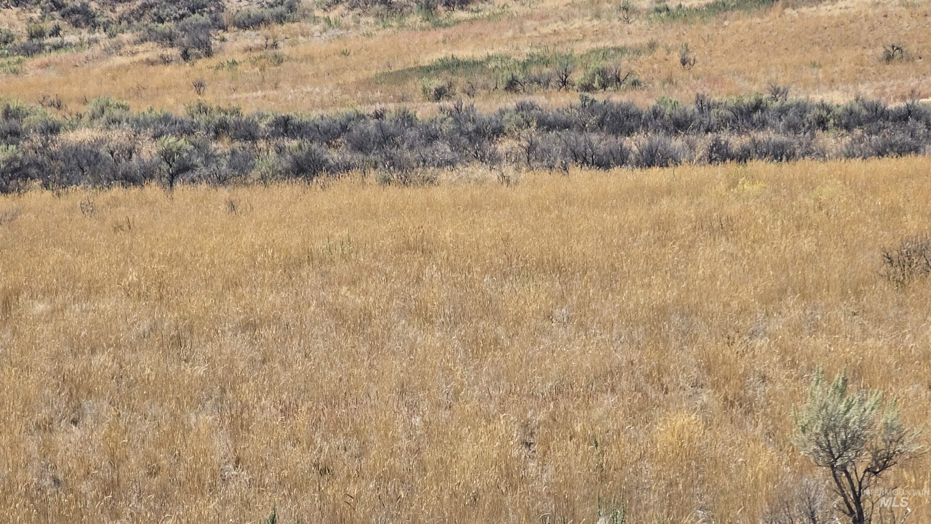 Approx. 1650 S 3100 W, Aberdeen, Idaho 83210, Farm & Ranch For Sale, Price $224,000, 98960346