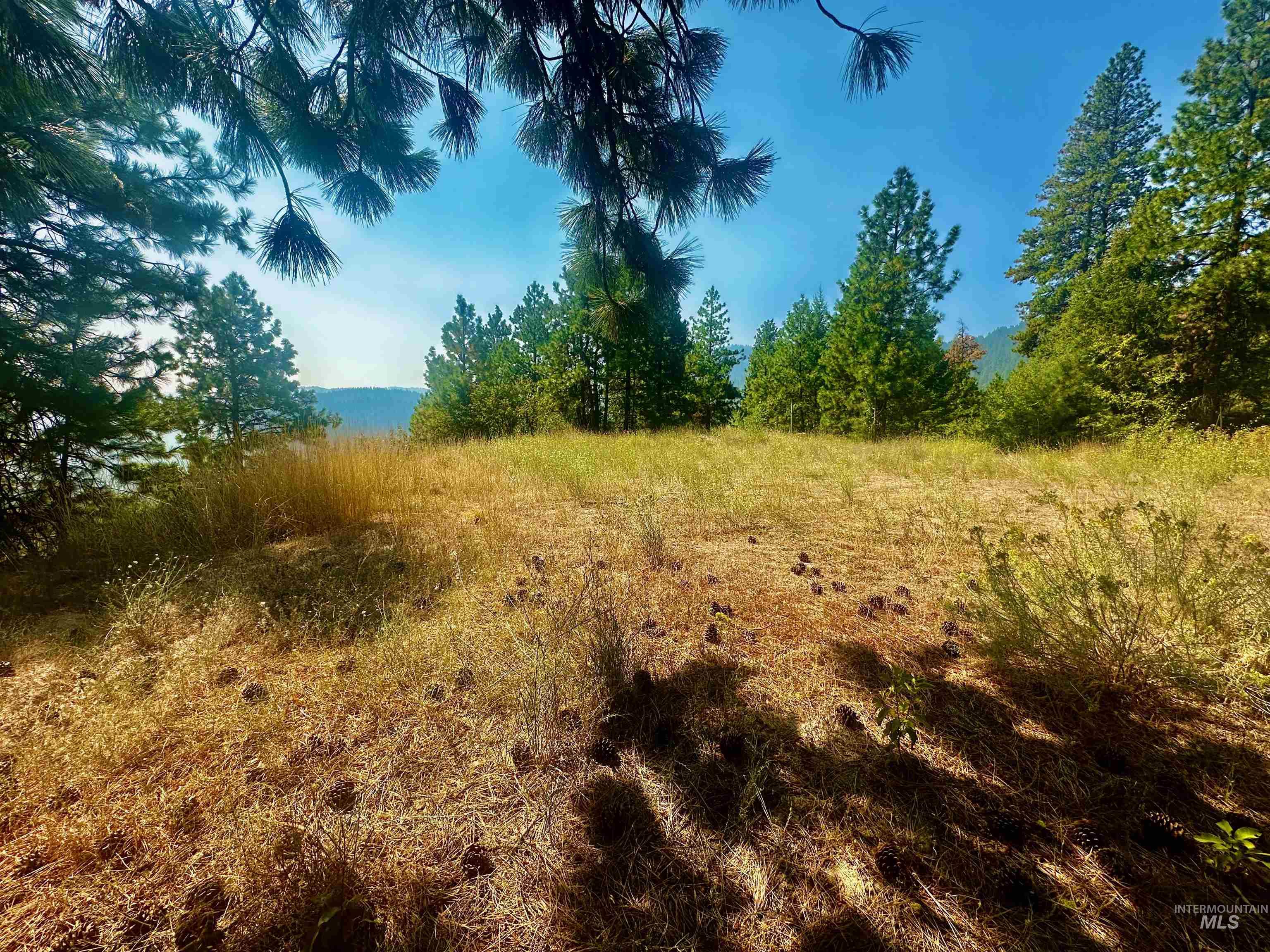 TBD Ridgeview Pl-Lot 77, Boise, Idaho 83716-1111, Land For Sale, Price $285,000, 98960482