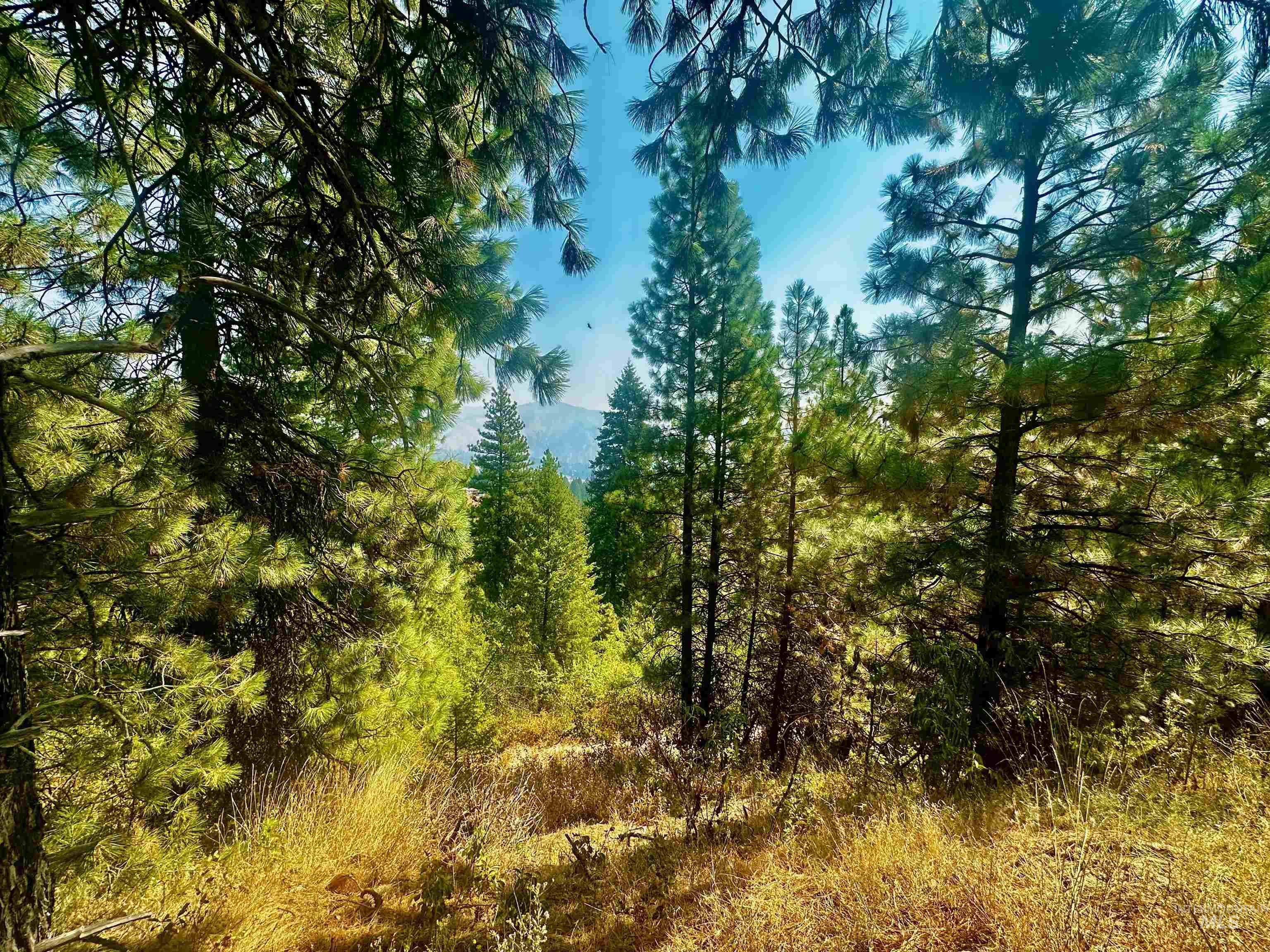 TBD Ridgeview Pl-Lot 77, Boise, Idaho 83716-1111, Land For Sale, Price $285,000, 98960482