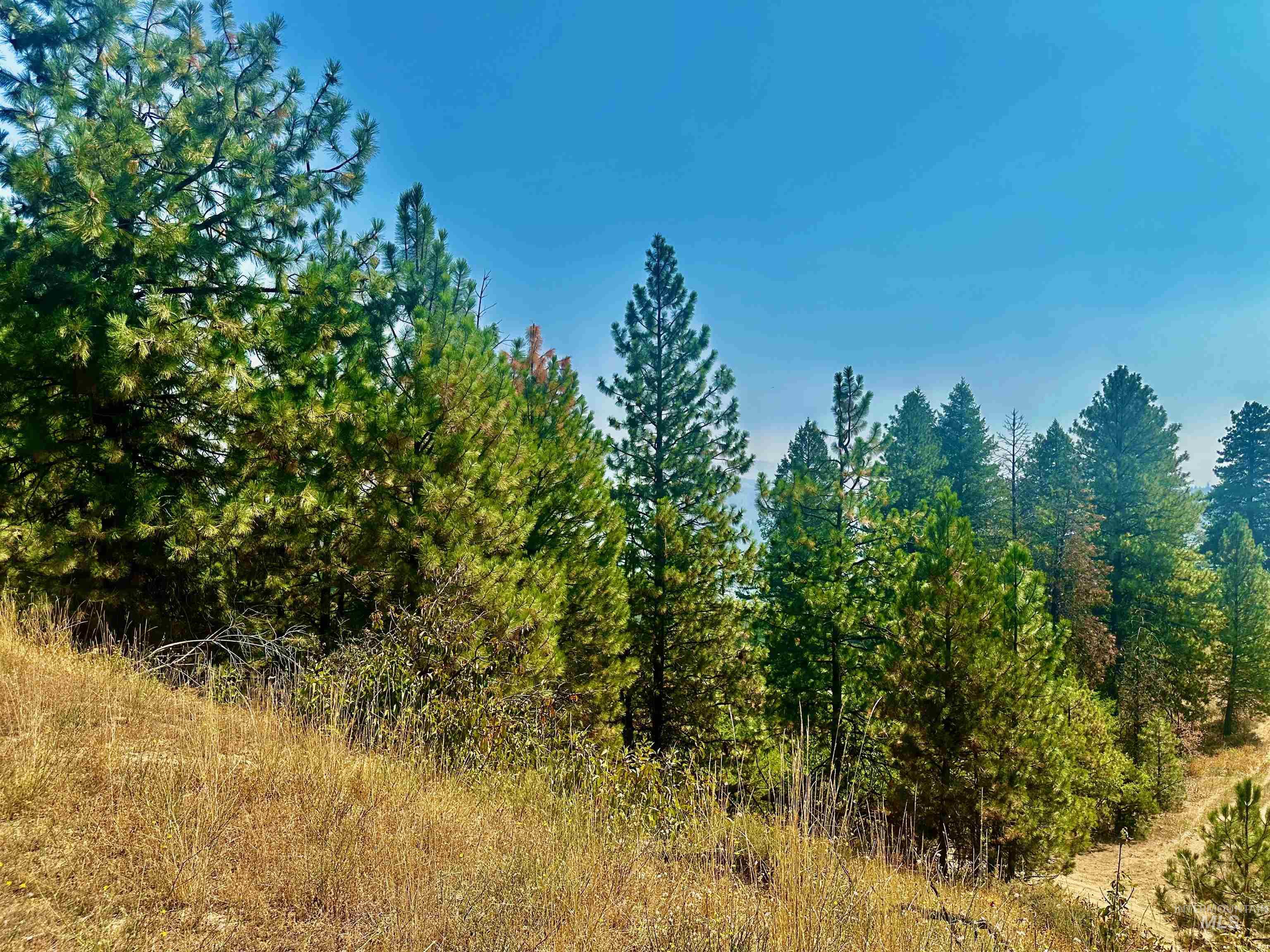 TBD Ridgeview Pl-Lot 77, Boise, Idaho 83716-1111, Land For Sale, Price $285,000, 98960482