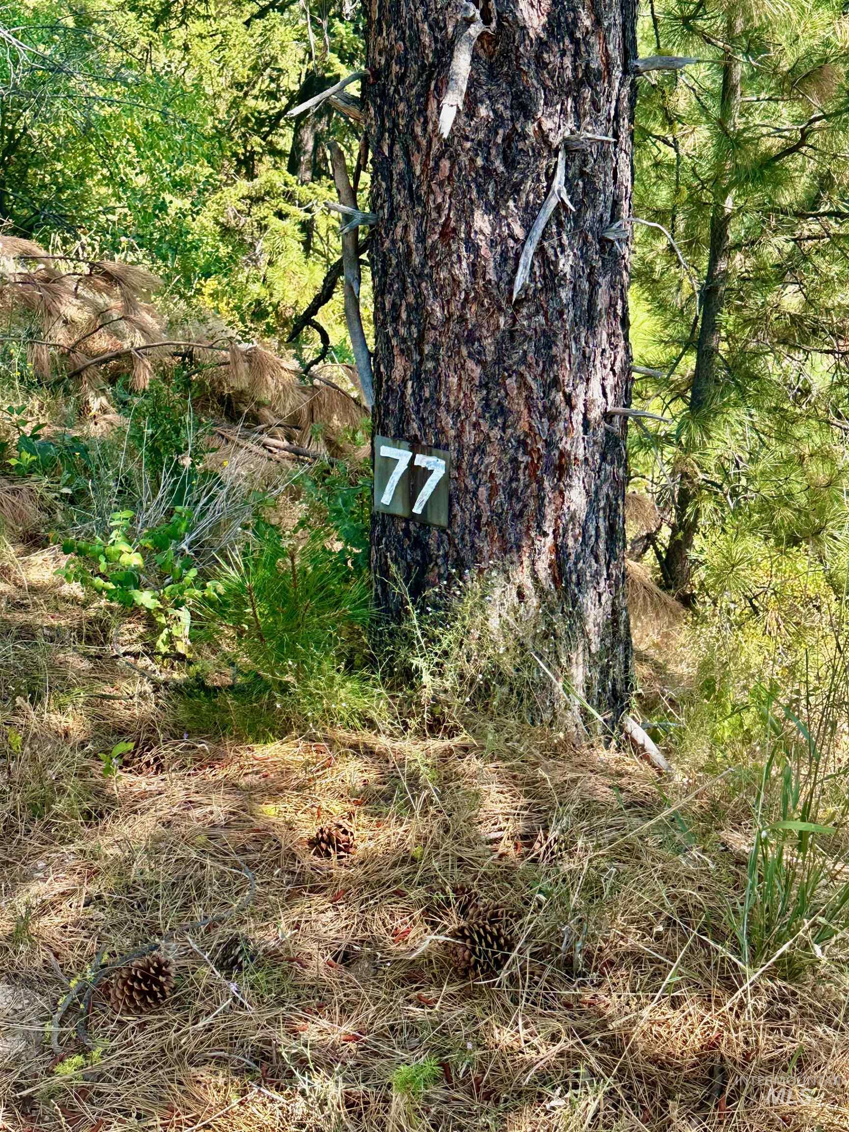 TBD Ridgeview Pl-Lot 77, Boise, Idaho 83716-1111, Land For Sale, Price $285,000, 98960482