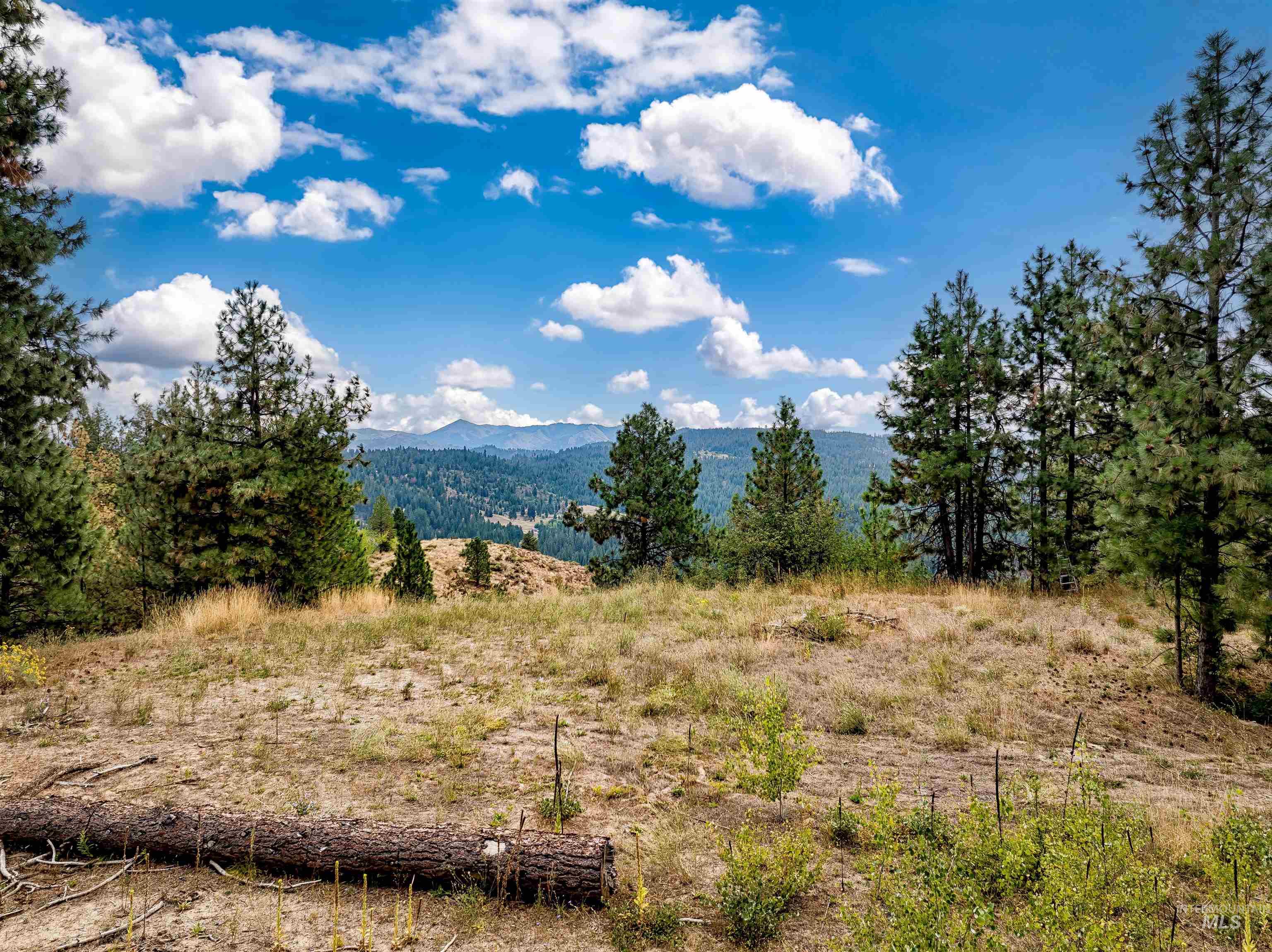 TBD Ridgeview Pl-Lot 77, Boise, Idaho 83716-1111, Land For Sale, Price $285,000, 98960482