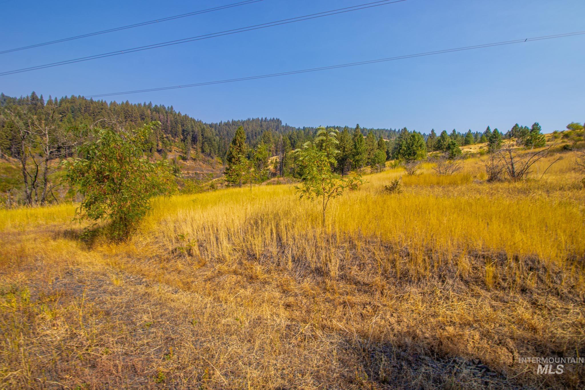 0 Summitview Dr, Ahsahka, Idaho 83520, Land For Sale, Price $290,000, 98960651