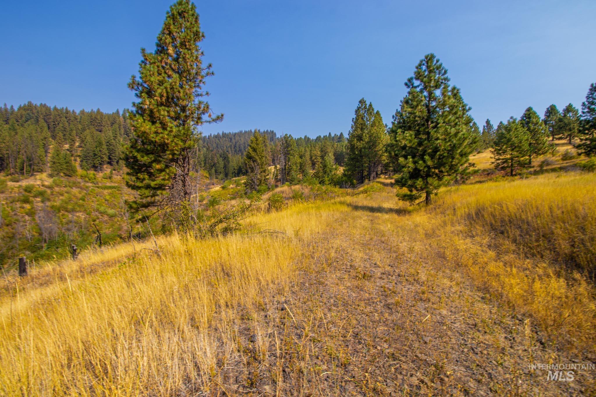 0 Summitview Dr, Ahsahka, Idaho 83520, Land For Sale, Price $290,000, 98960651