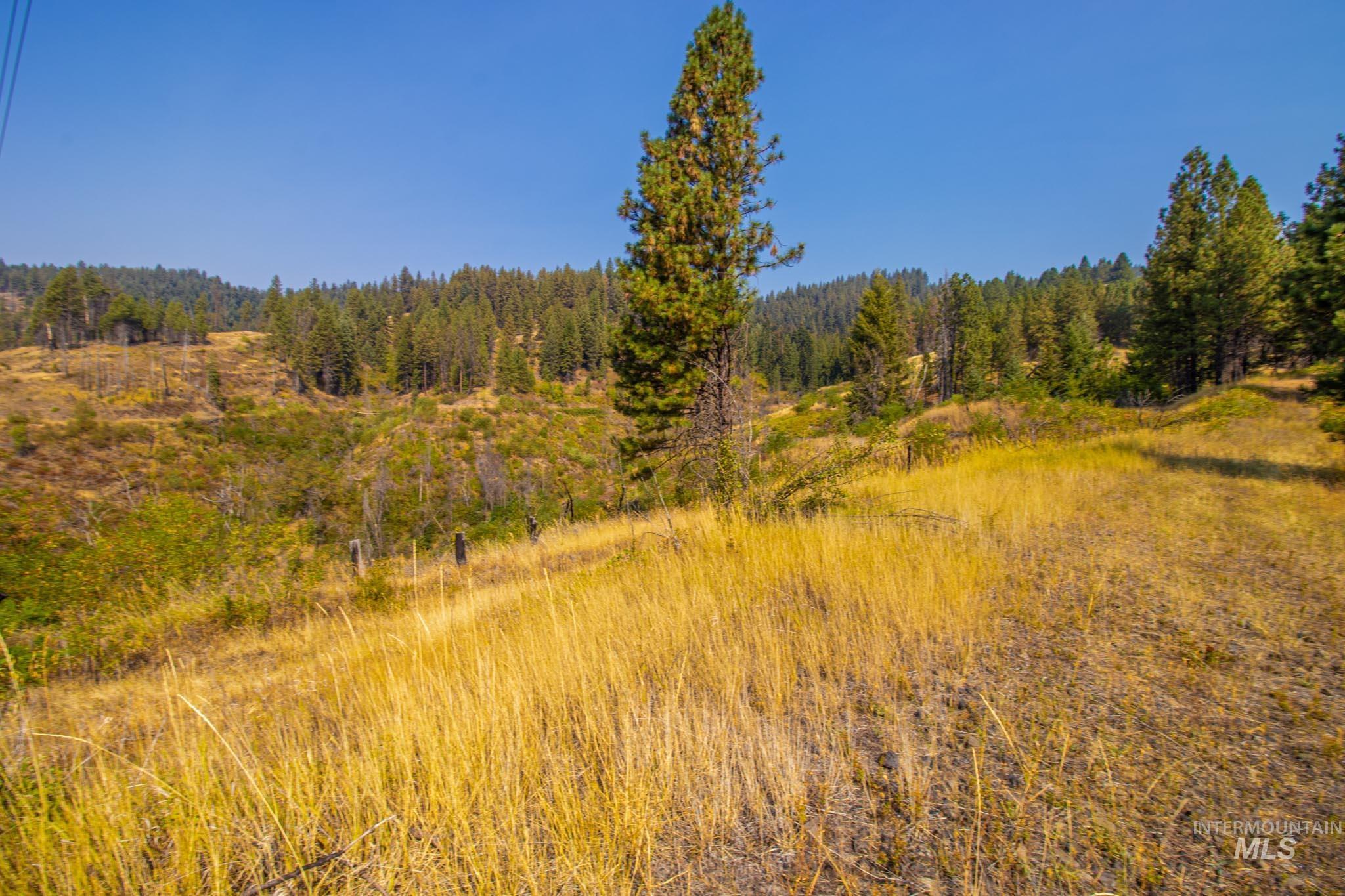 0 Summitview Dr, Ahsahka, Idaho 83520, Land For Sale, Price $290,000, 98960651