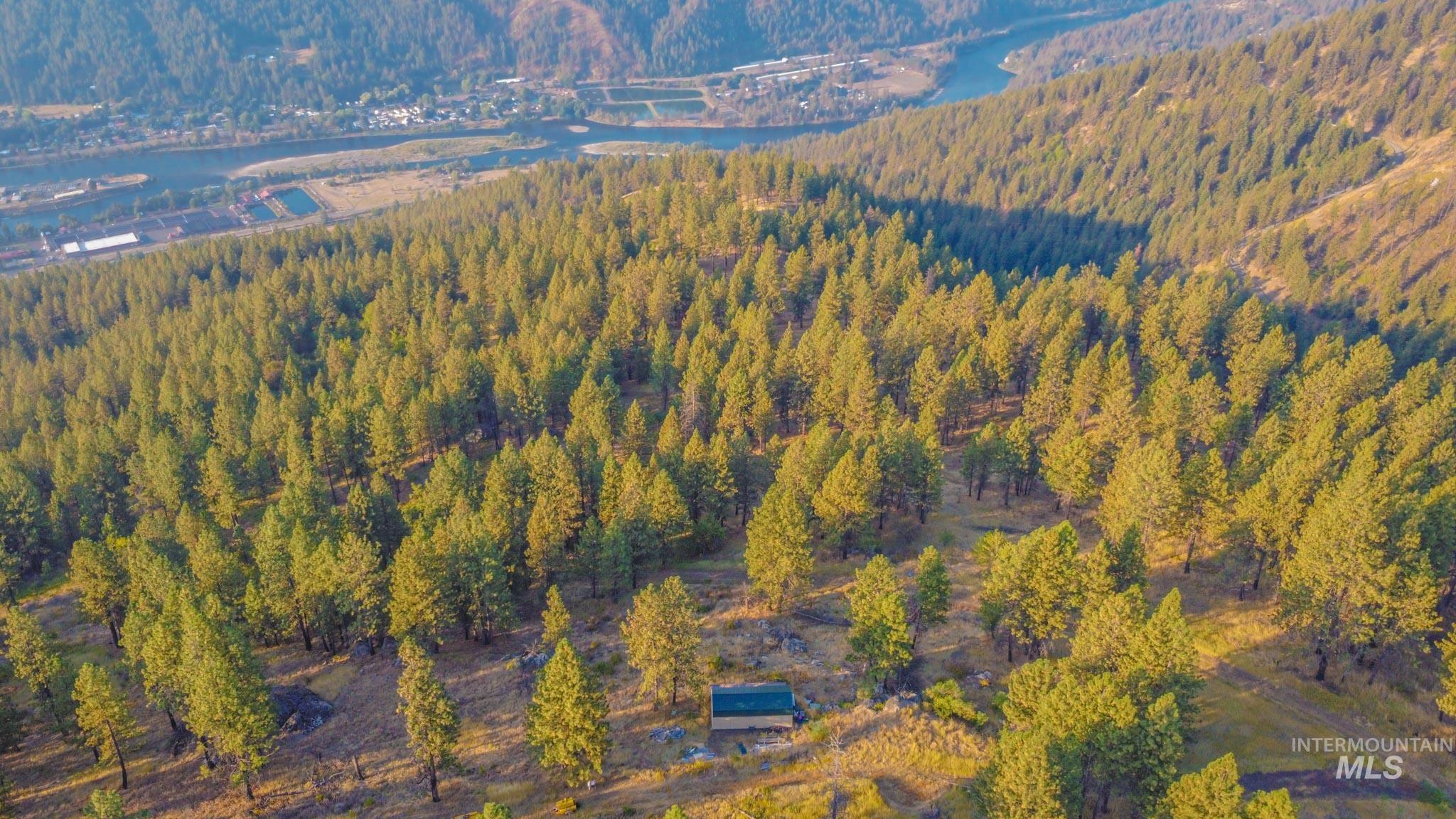 0 Summitview Dr, Ahsahka, Idaho 83520, Land For Sale, Price $290,000, 98960651