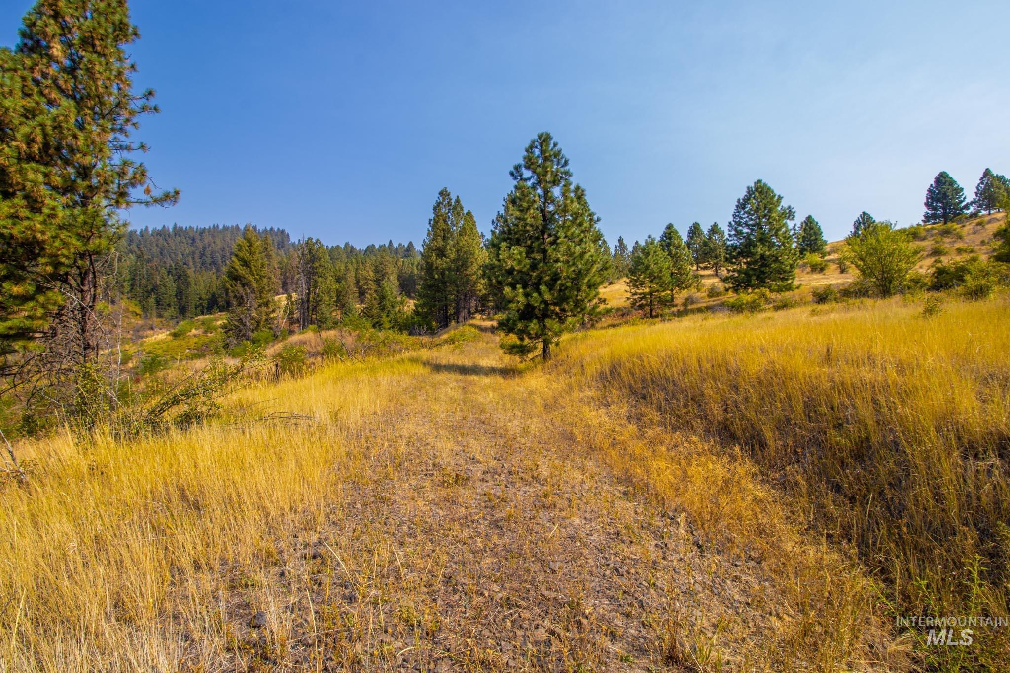 0 Summitview Dr, Ahsahka, Idaho 83520, Land For Sale, Price $290,000, 98960651