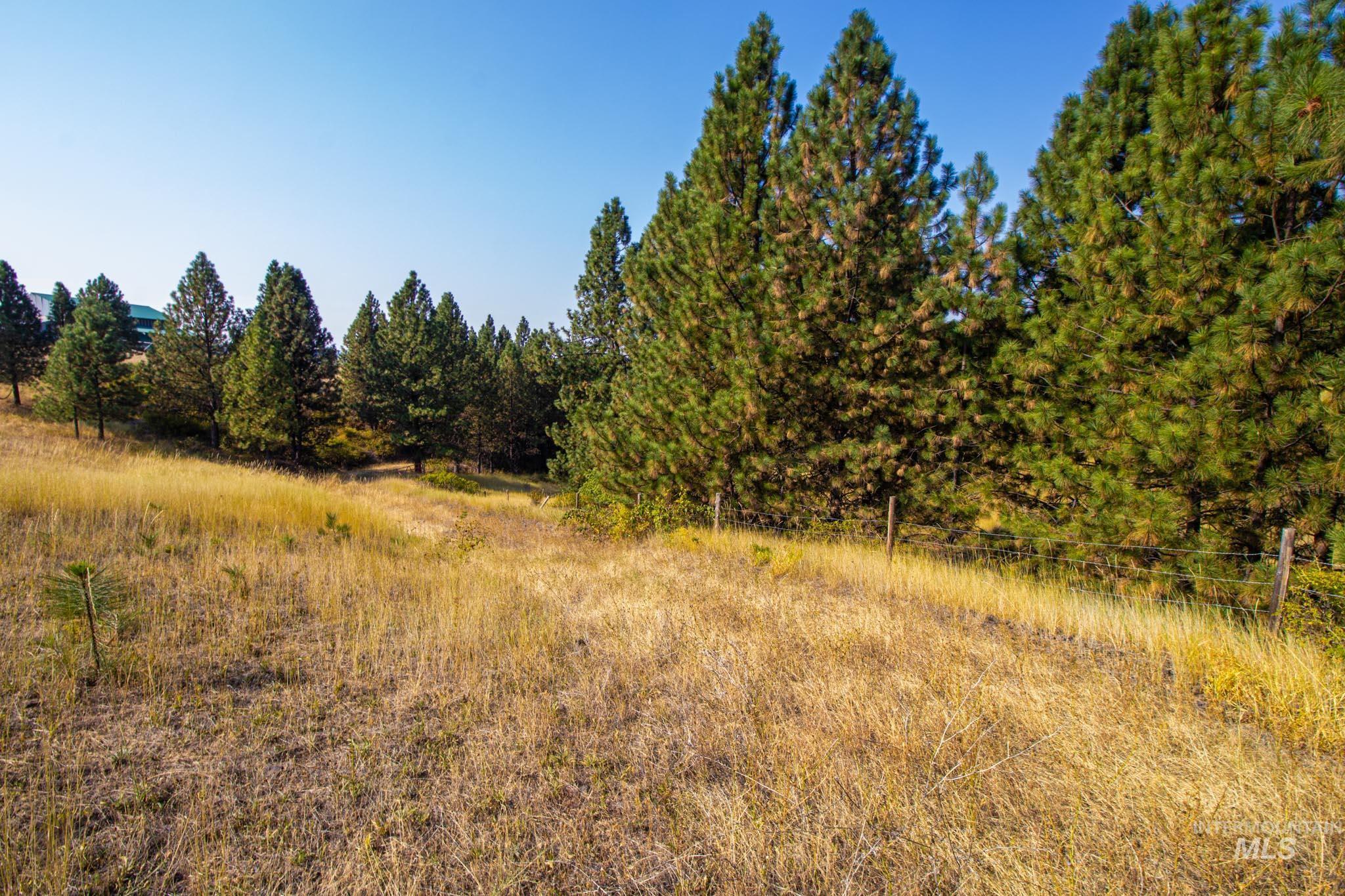 0 Summitview Dr, Ahsahka, Idaho 83520, Land For Sale, Price $290,000, 98960651