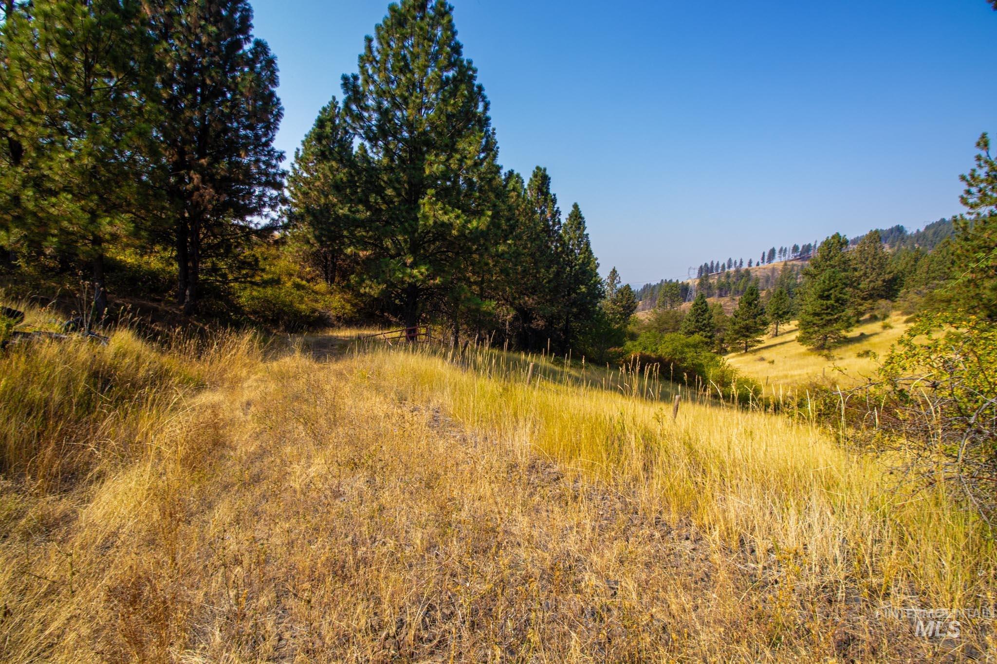 0 Summitview Dr, Ahsahka, Idaho 83520, Land For Sale, Price $290,000, 98960651