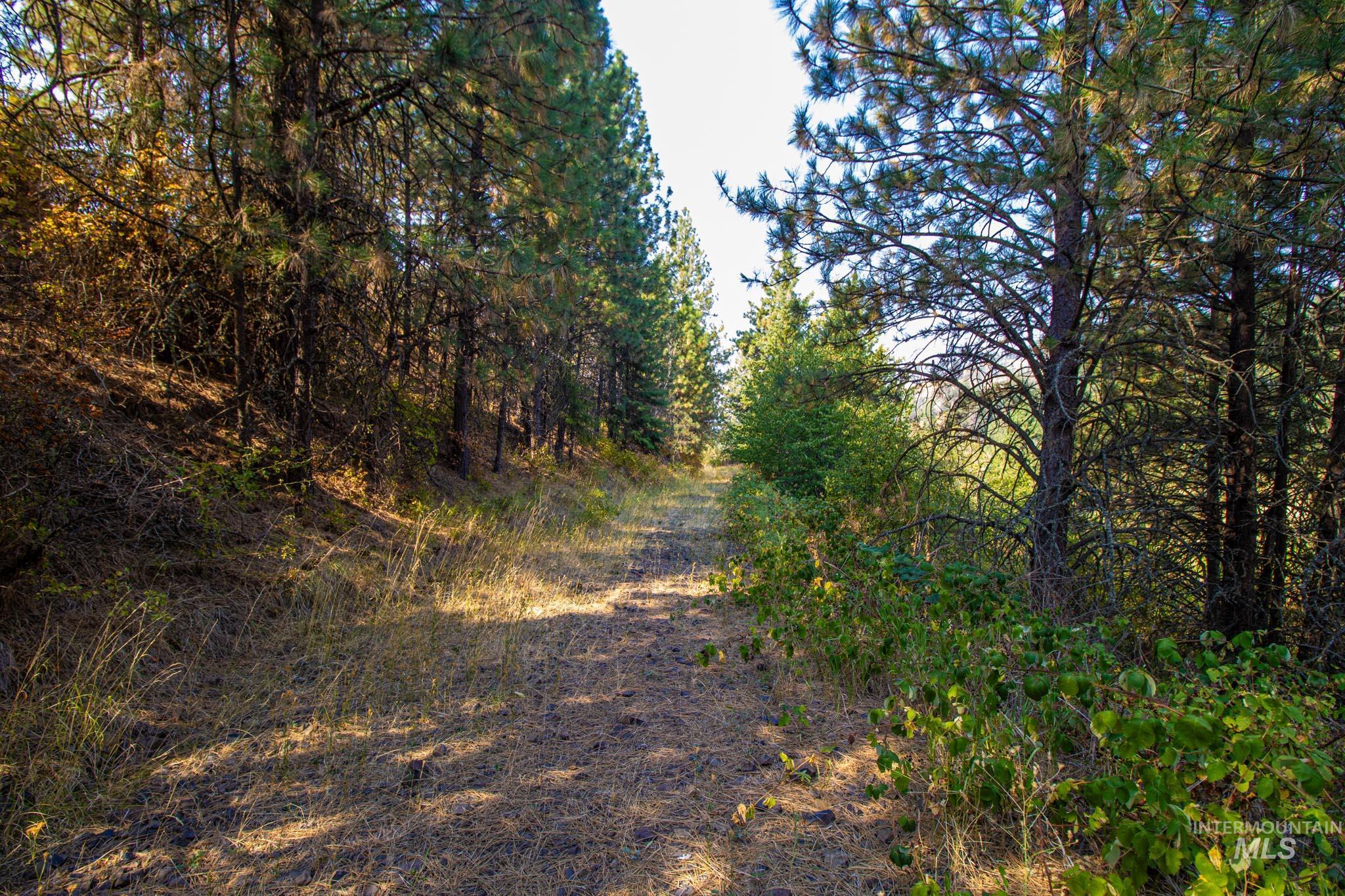 0 Summitview Dr, Ahsahka, Idaho 83520, Land For Sale, Price $290,000, 98960651