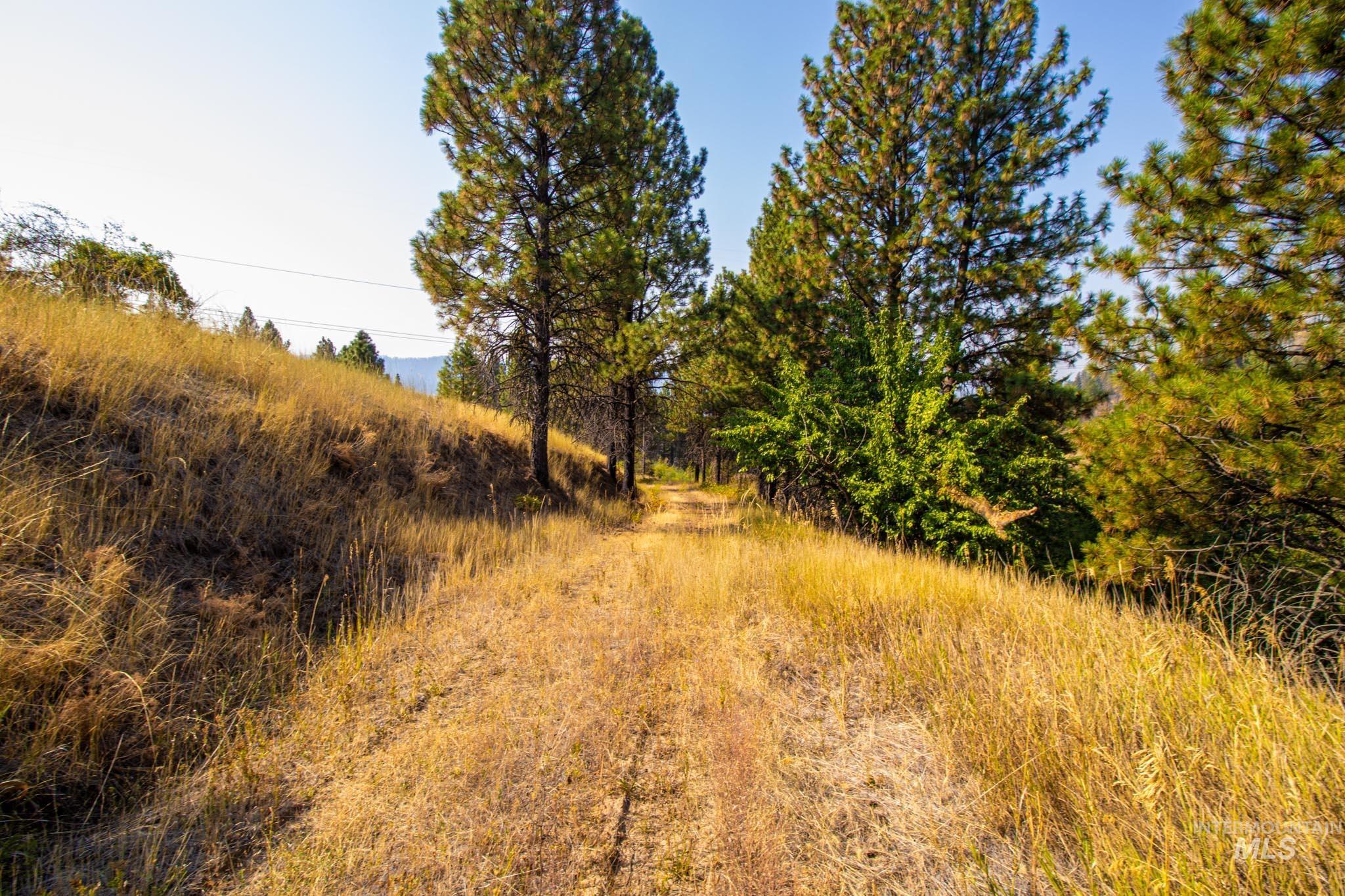 0 Summitview Dr, Ahsahka, Idaho 83520, Land For Sale, Price $290,000, 98960651