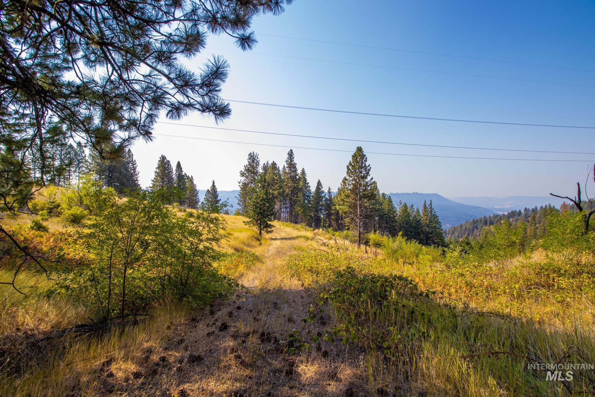 0 Summitview Dr, Ahsahka, Idaho 83520, Land For Sale, Price $290,000, 98960651