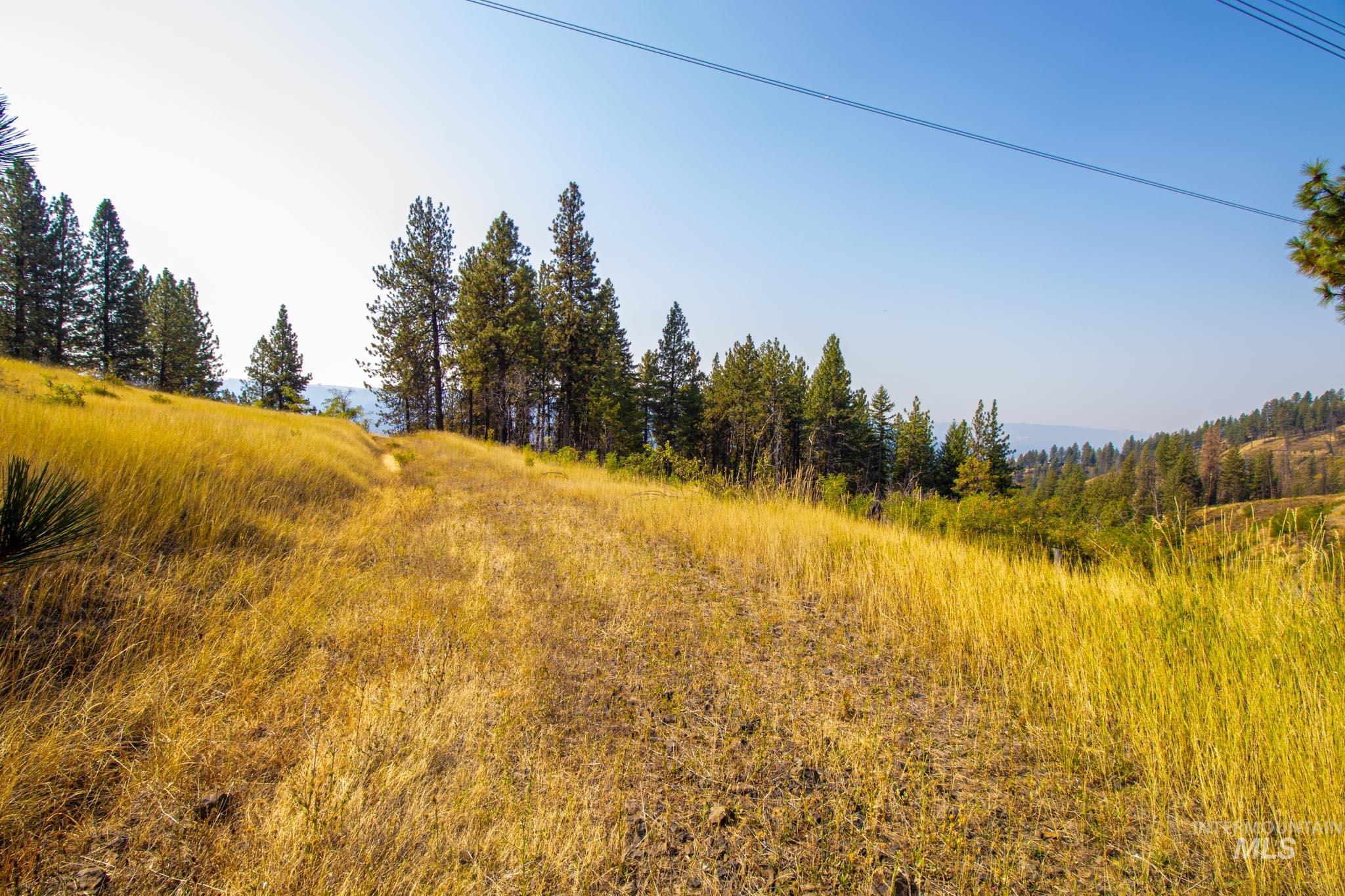 0 Summitview Dr, Ahsahka, Idaho 83520, Land For Sale, Price $290,000, 98960651