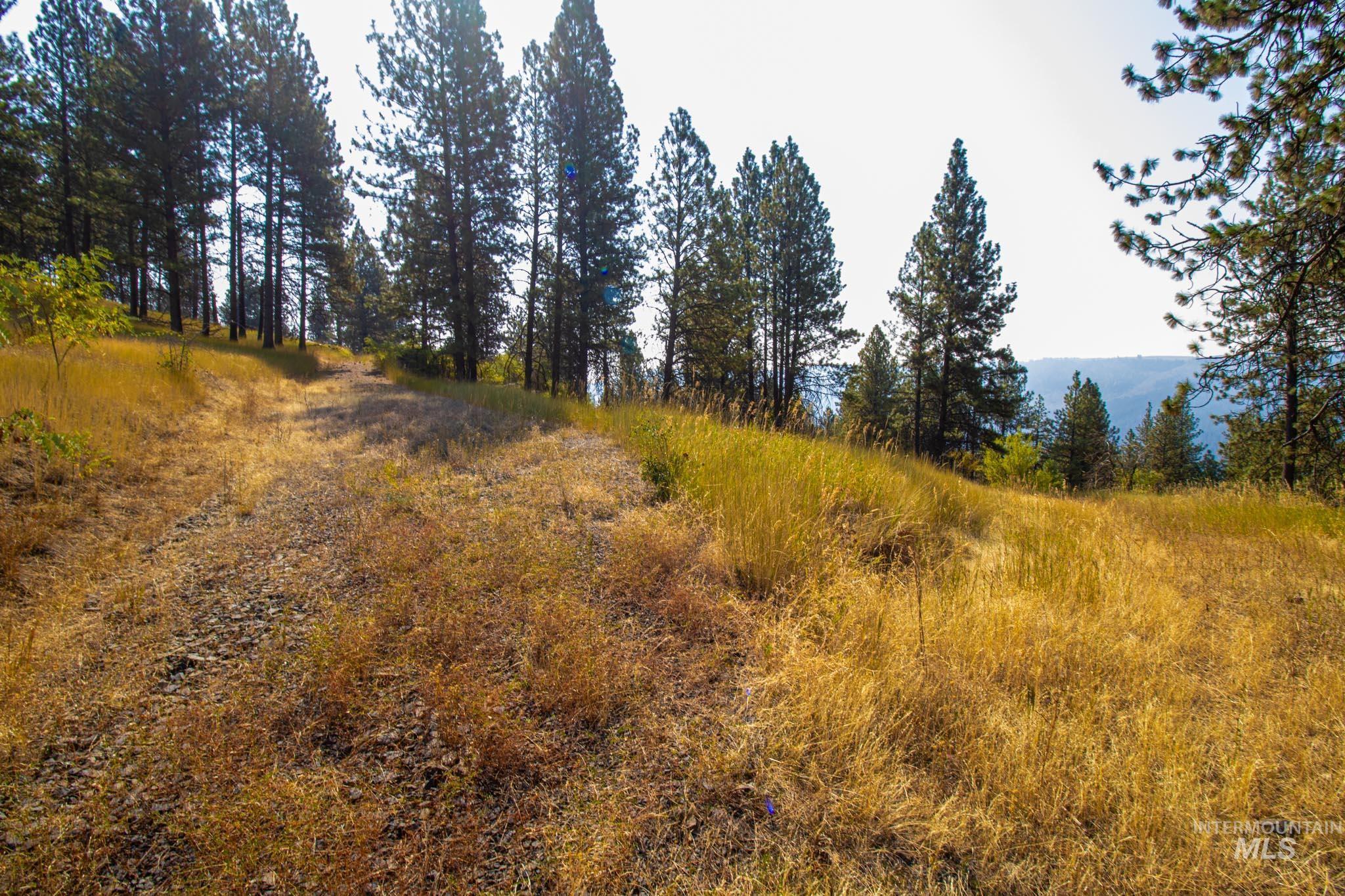 0 Summitview Dr, Ahsahka, Idaho 83520, Land For Sale, Price $290,000, 98960651