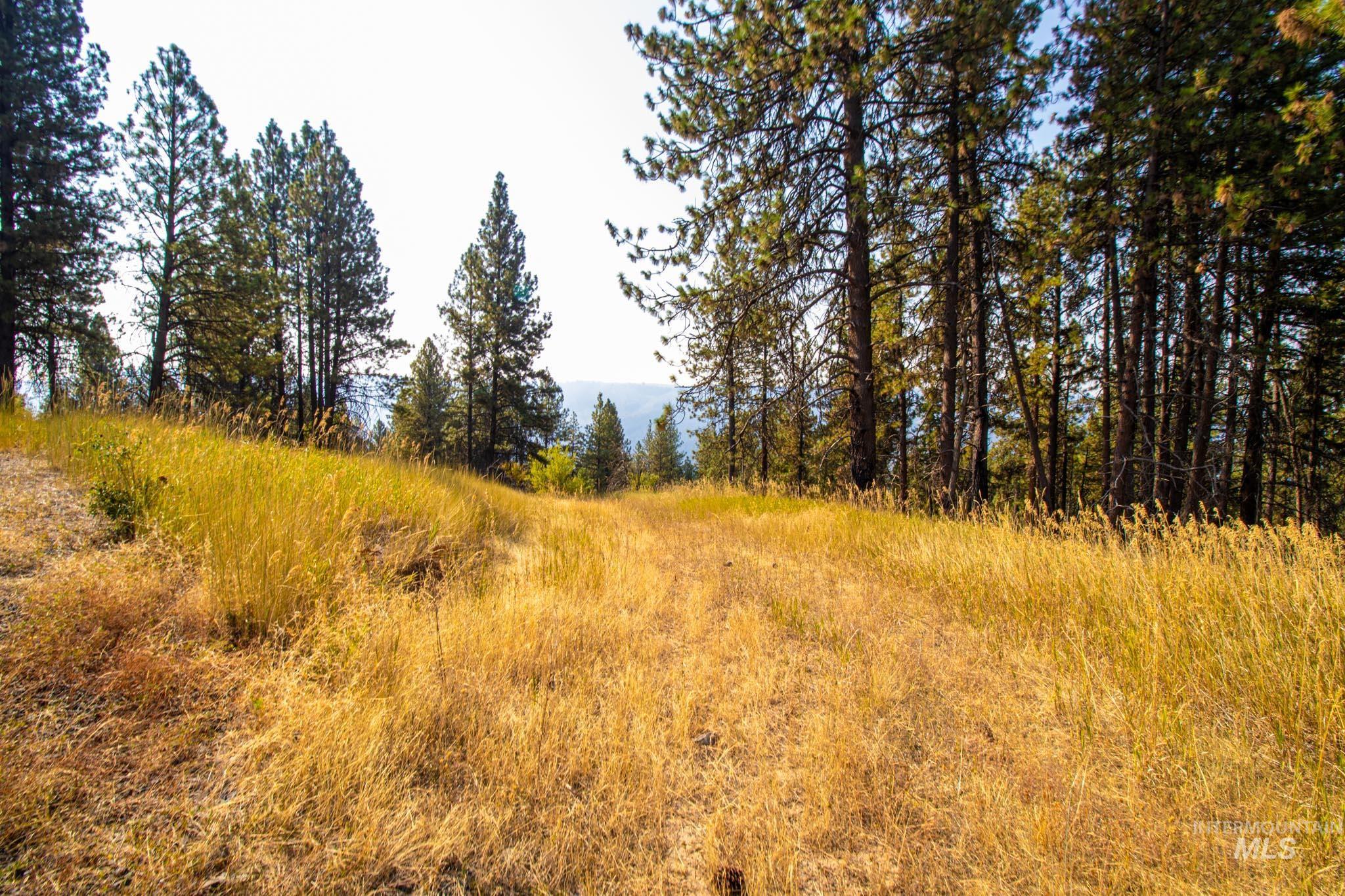 0 Summitview Dr, Ahsahka, Idaho 83520, Land For Sale, Price $290,000, 98960651