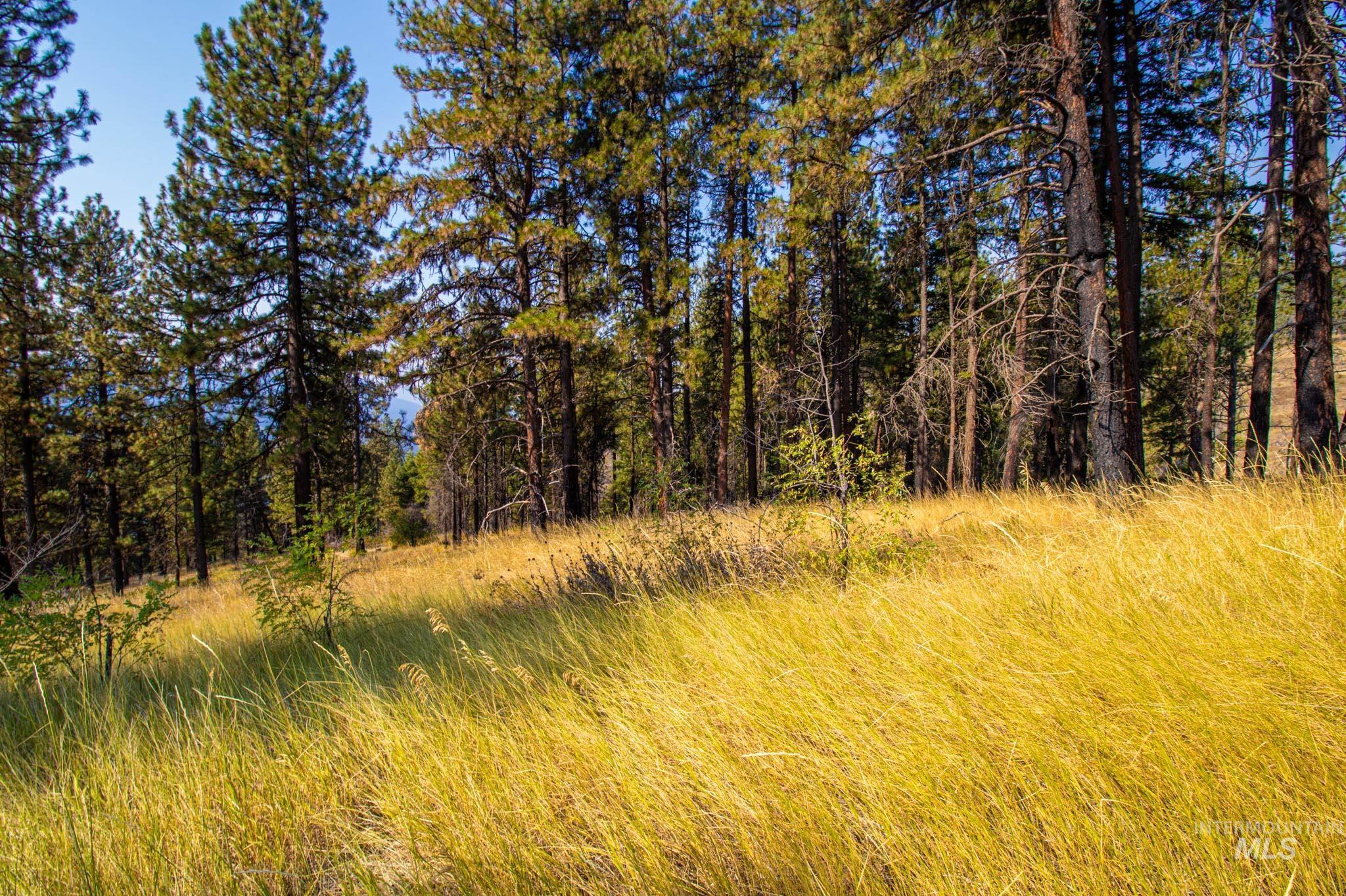 0 Summitview Dr, Ahsahka, Idaho 83520, Land For Sale, Price $290,000, 98960651