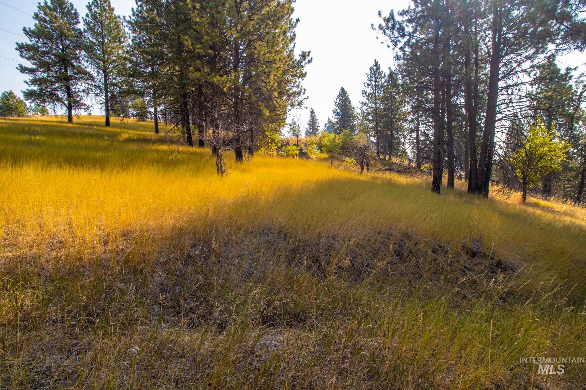 0 Summitview Dr, Ahsahka, Idaho 83520, Land For Sale, Price $290,000, 98960651