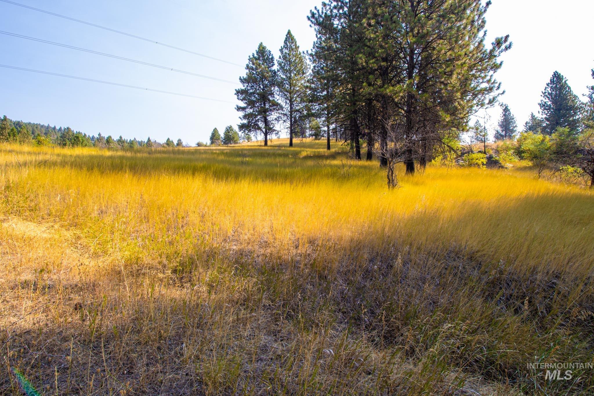 0 Summitview Dr, Ahsahka, Idaho 83520, Land For Sale, Price $290,000, 98960651