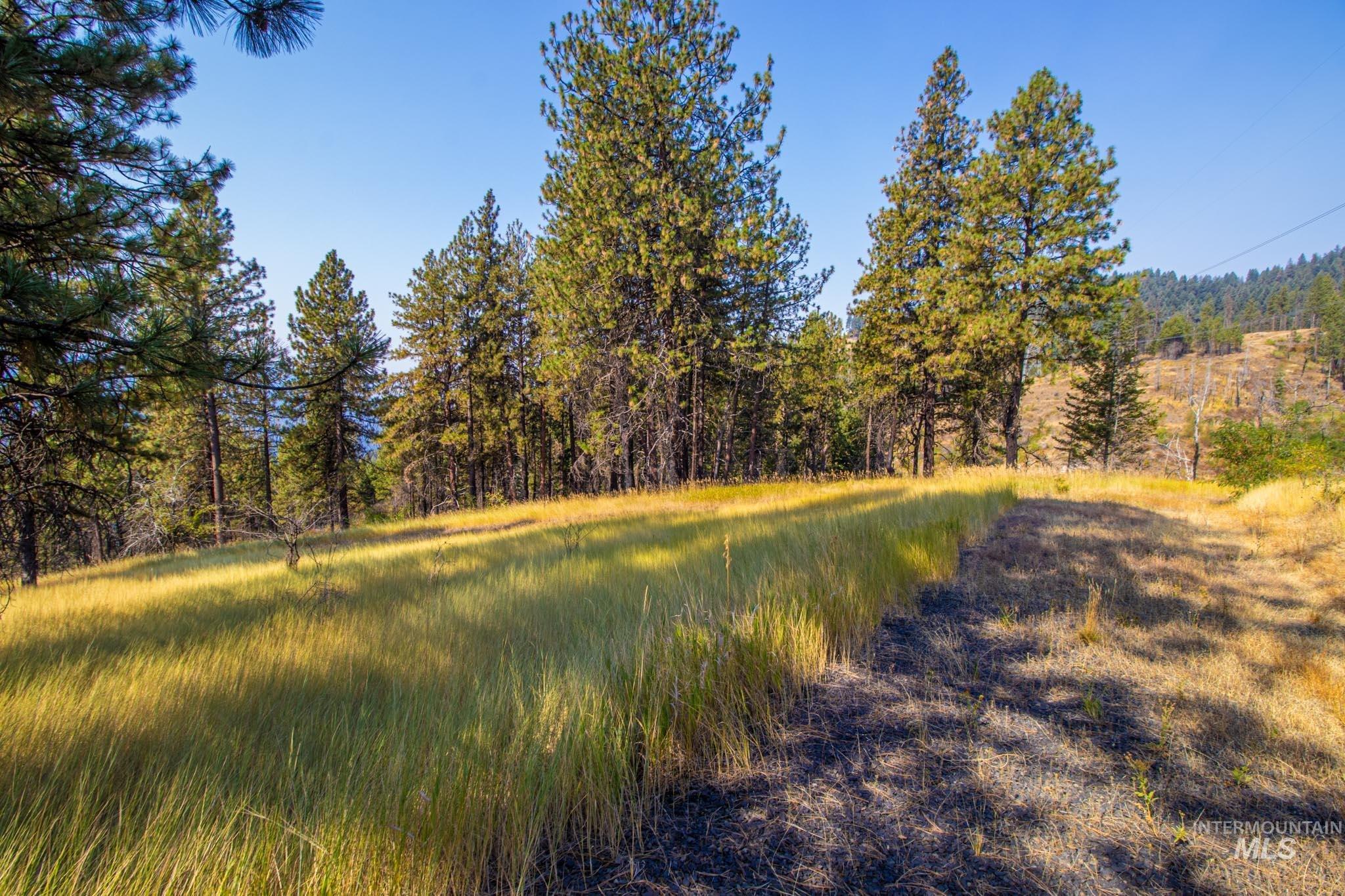 0 Summitview Dr, Ahsahka, Idaho 83520, Land For Sale, Price $290,000, 98960651