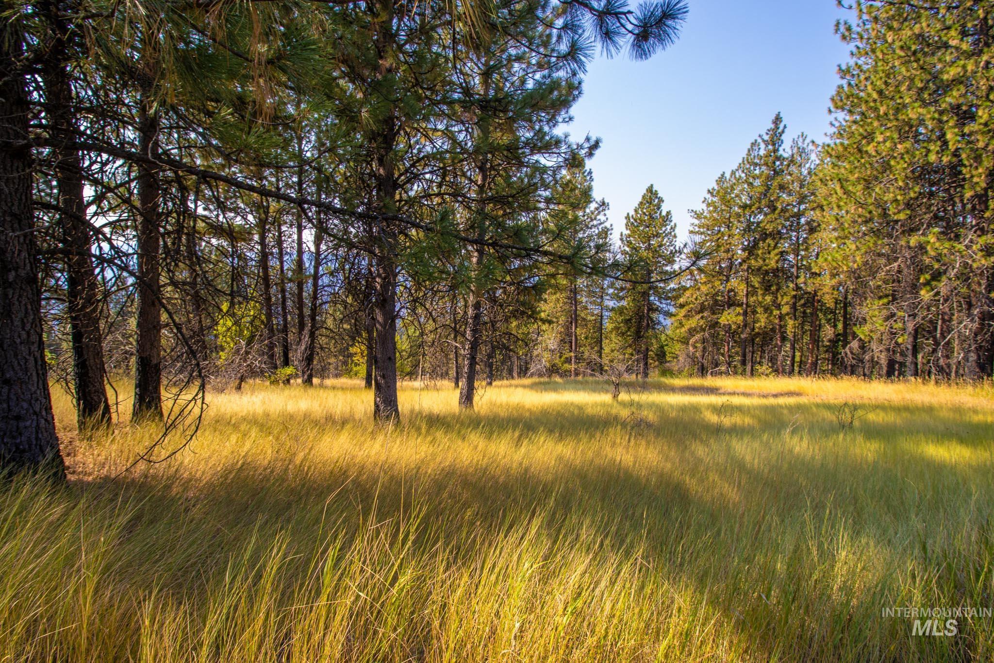 0 Summitview Dr, Ahsahka, Idaho 83520, Land For Sale, Price $290,000, 98960651