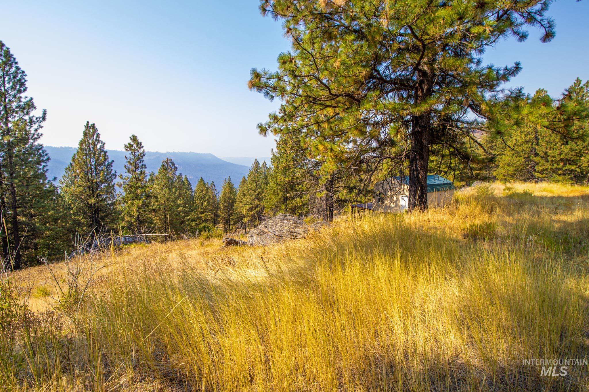 0 Summitview Dr, Ahsahka, Idaho 83520, Land For Sale, Price $290,000, 98960651