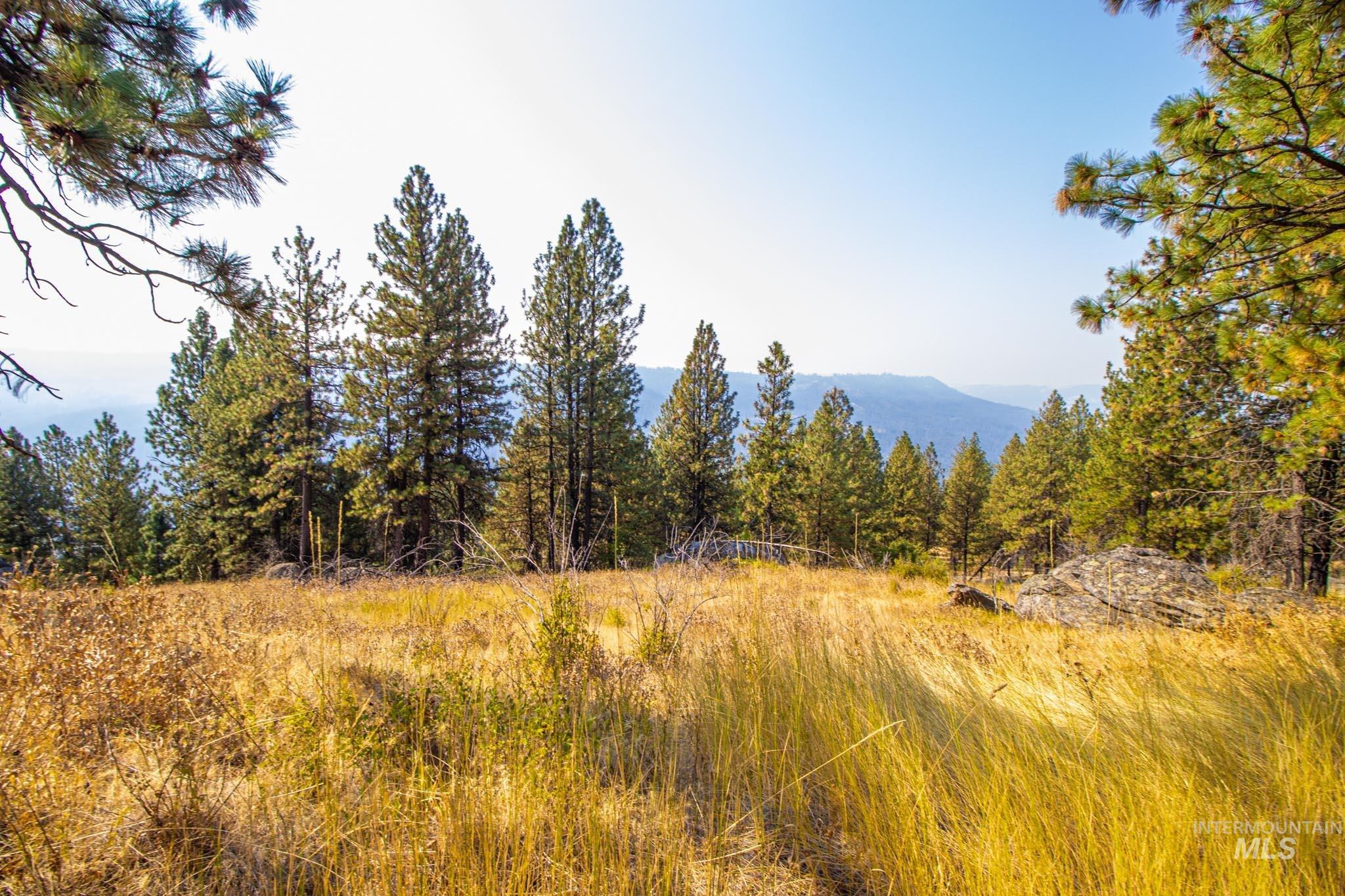 0 Summitview Dr, Ahsahka, Idaho 83520, Land For Sale, Price $290,000, 98960651