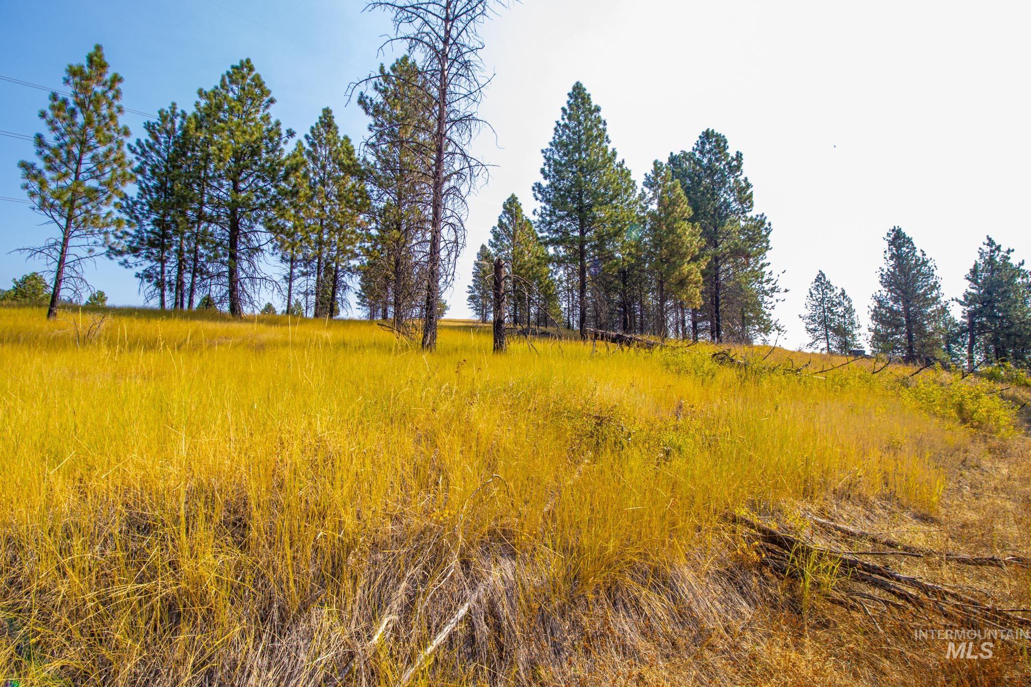 0 Summitview Dr, Ahsahka, Idaho 83520, Land For Sale, Price $290,000, 98960651